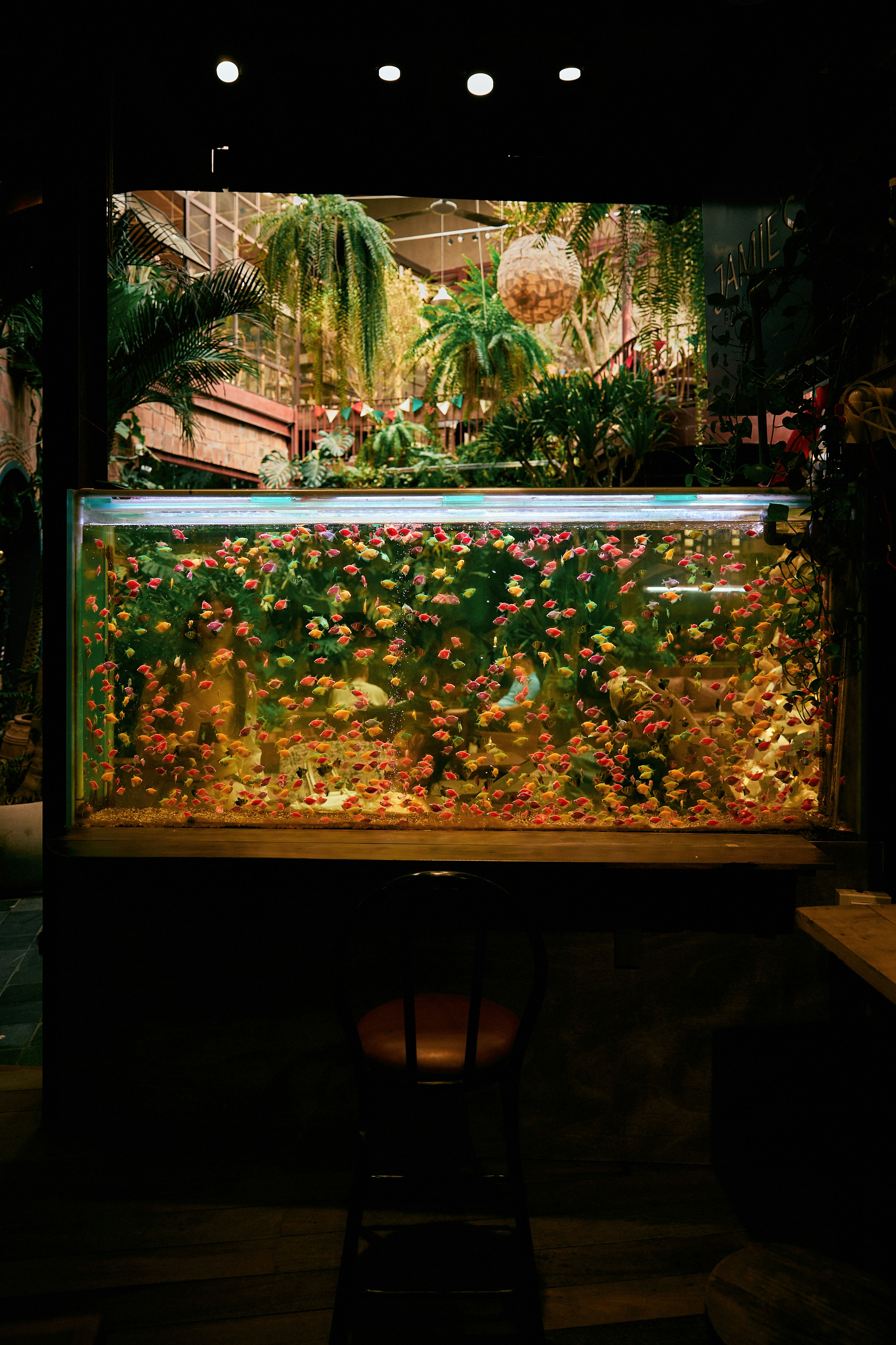 Large aquarium filled with colorful fish and plants.