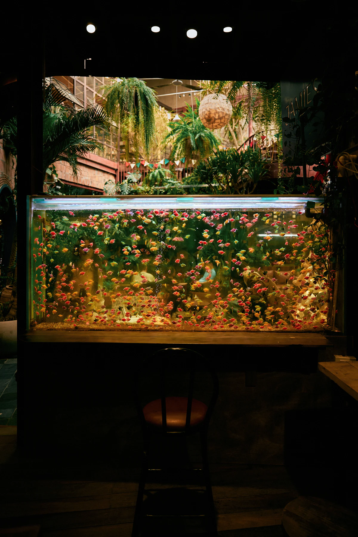 Acuario marino con roca viva y peces de arrecife