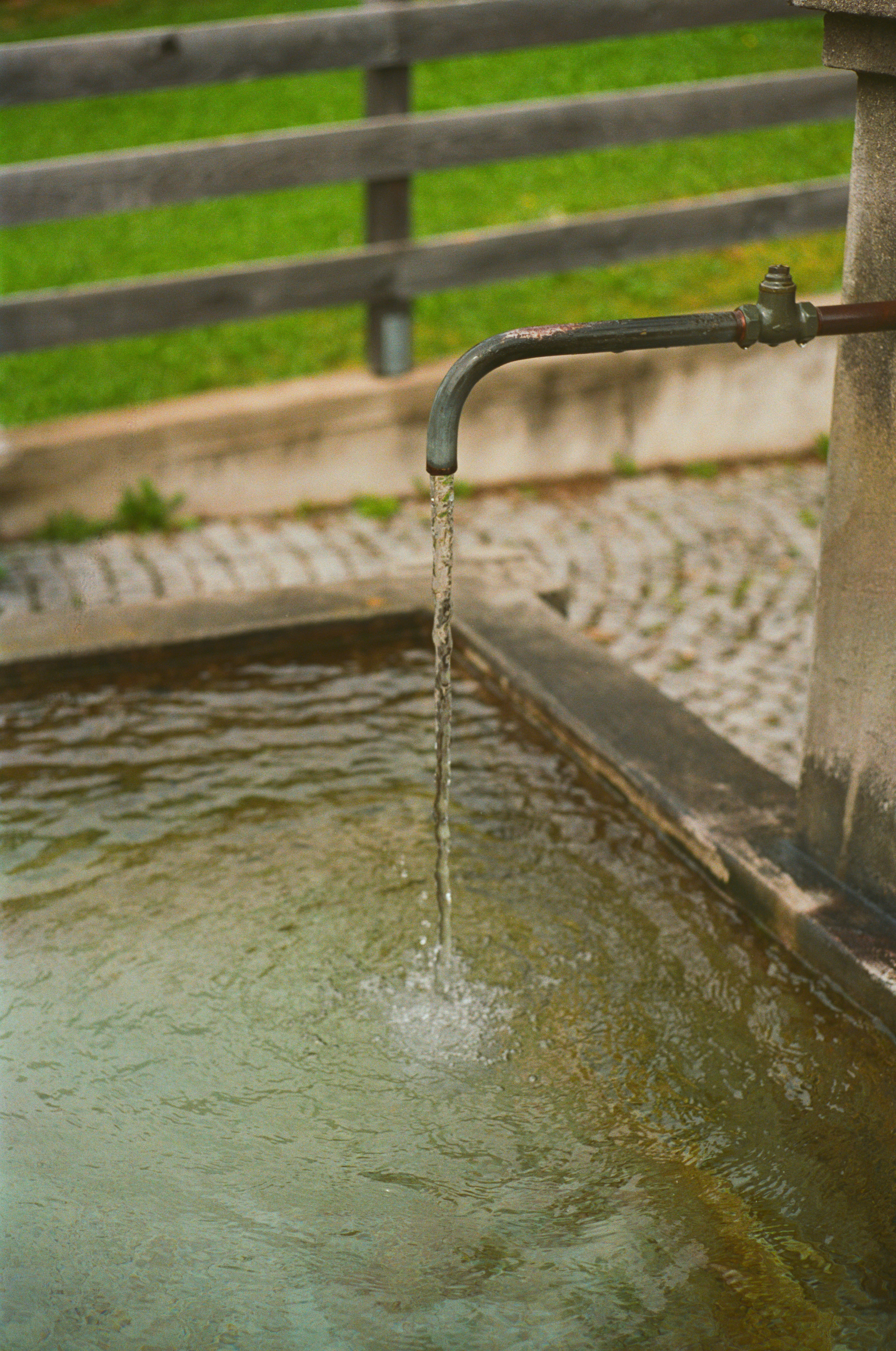 Photo by intrepidfilm