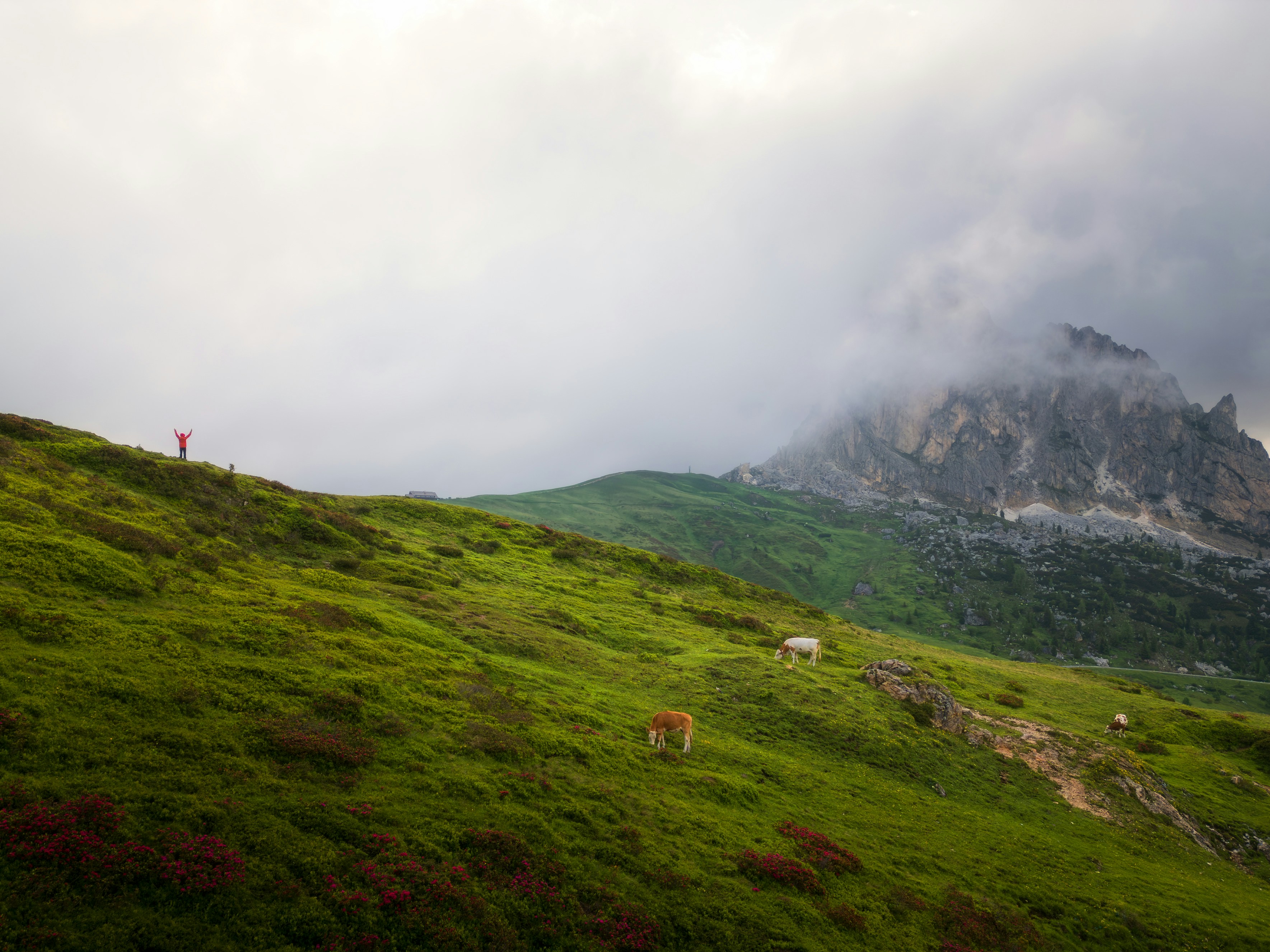 Photo by marcozzolo90