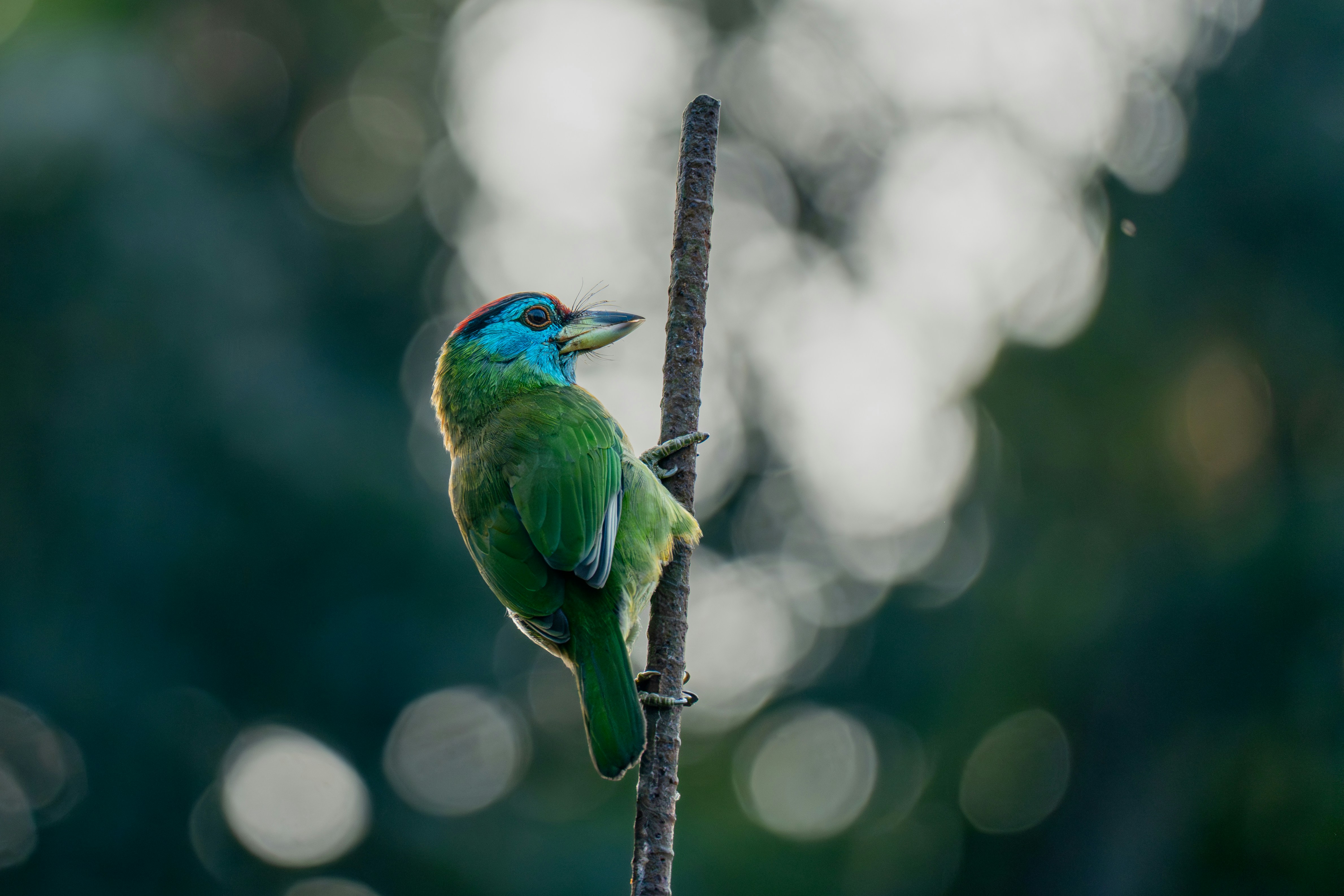 Photo by mamunsrizon