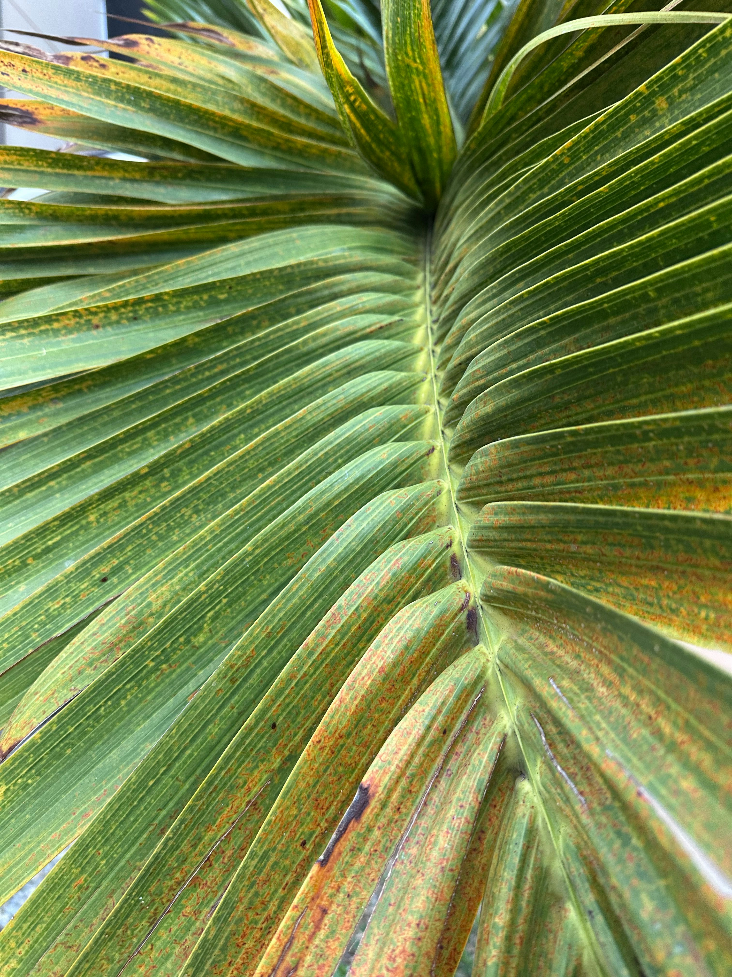 Photo by eloves_photography777