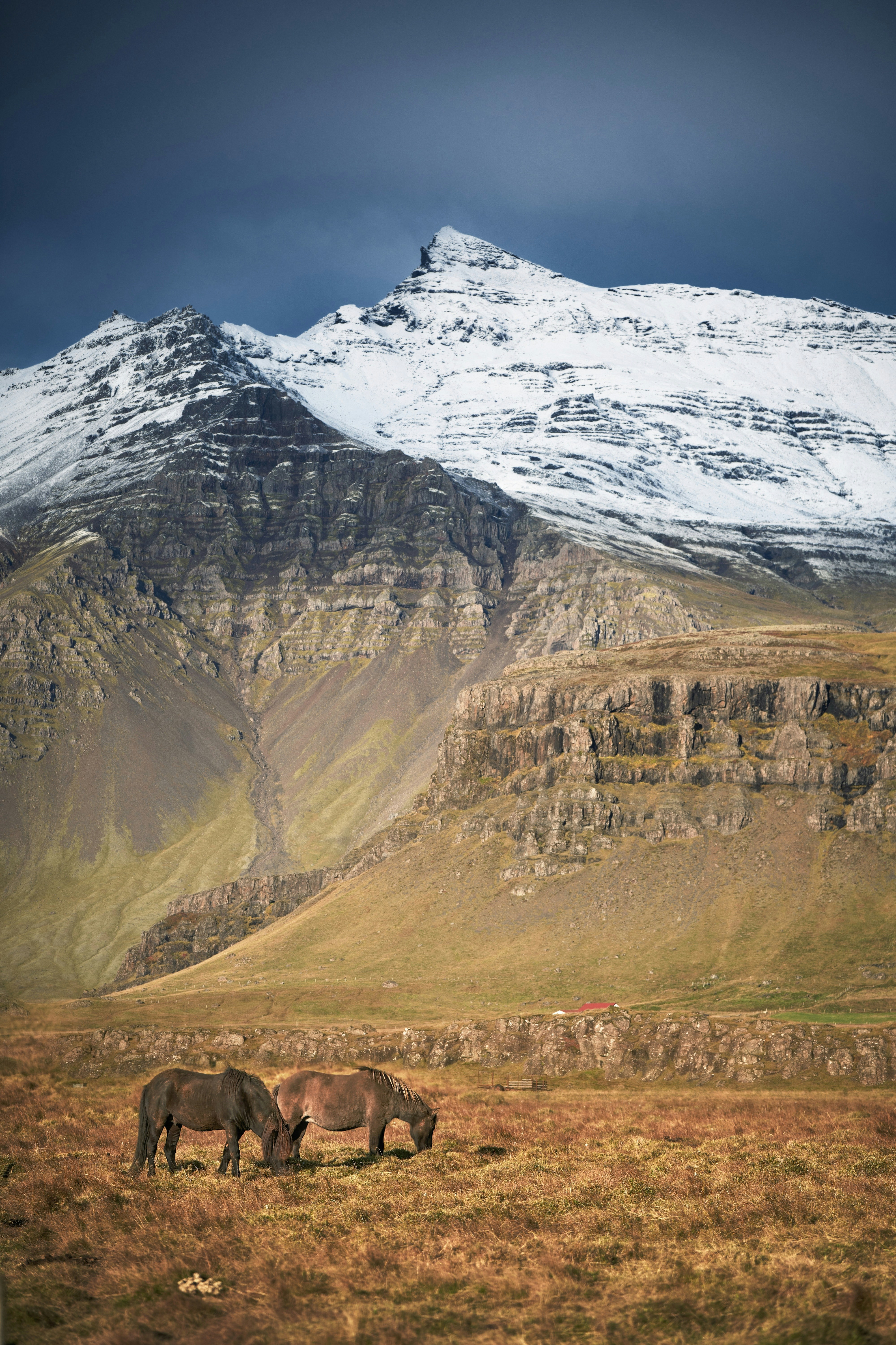 Photo by marcozzolo90