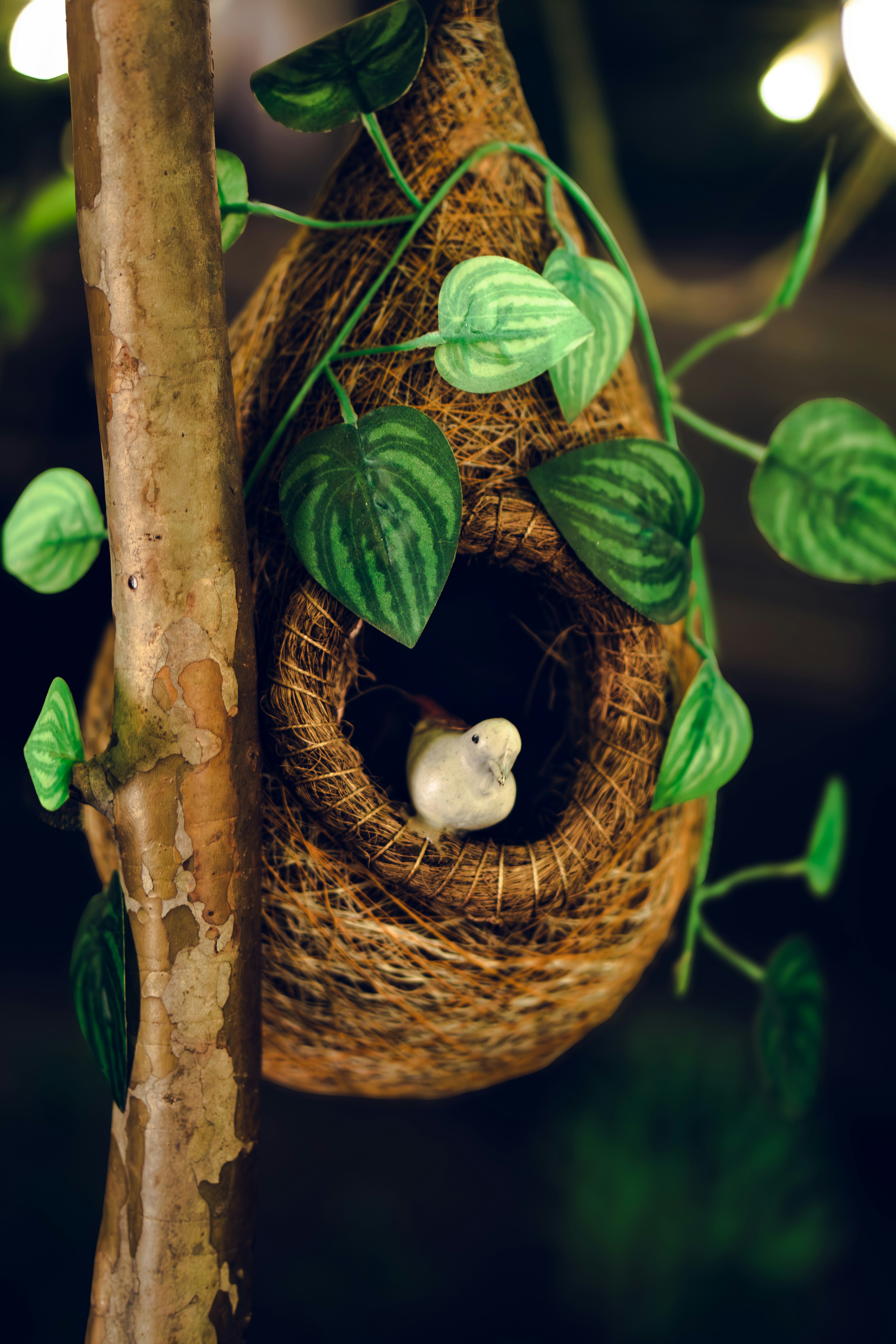 A small bird peeks out of a woven nest.