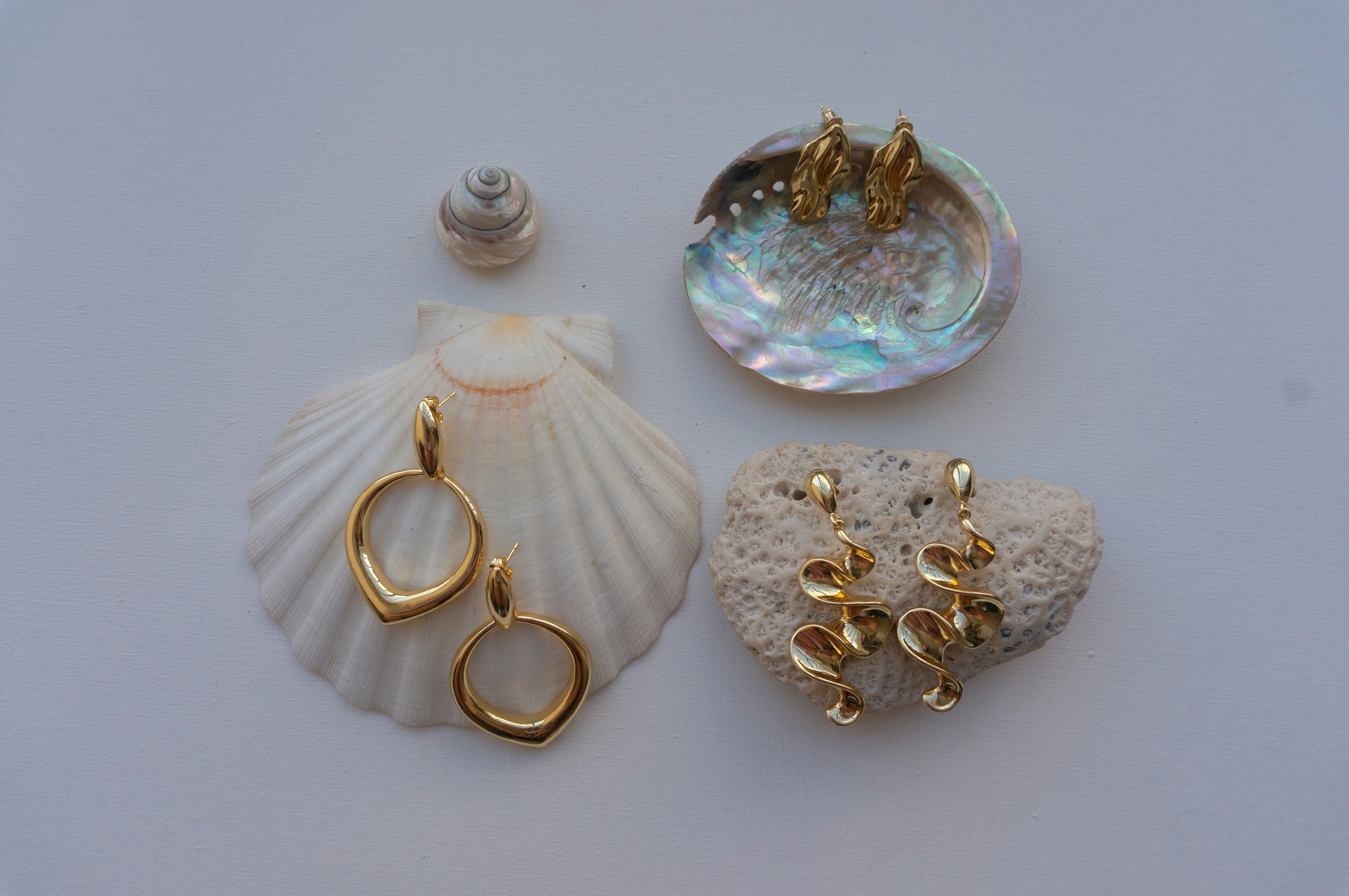 Gold earrings displayed on seashells and coral.