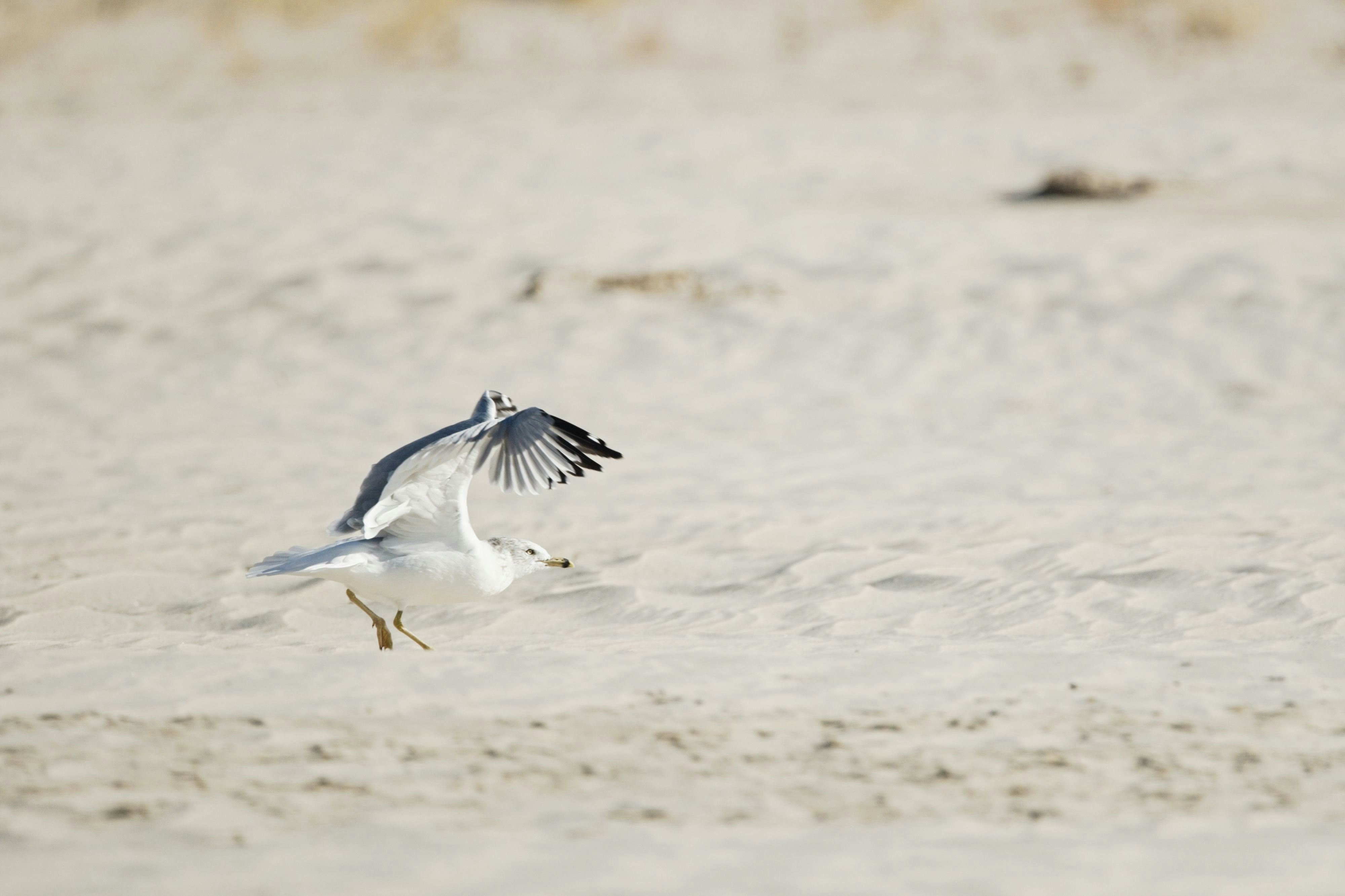 Photo by consoledotlog