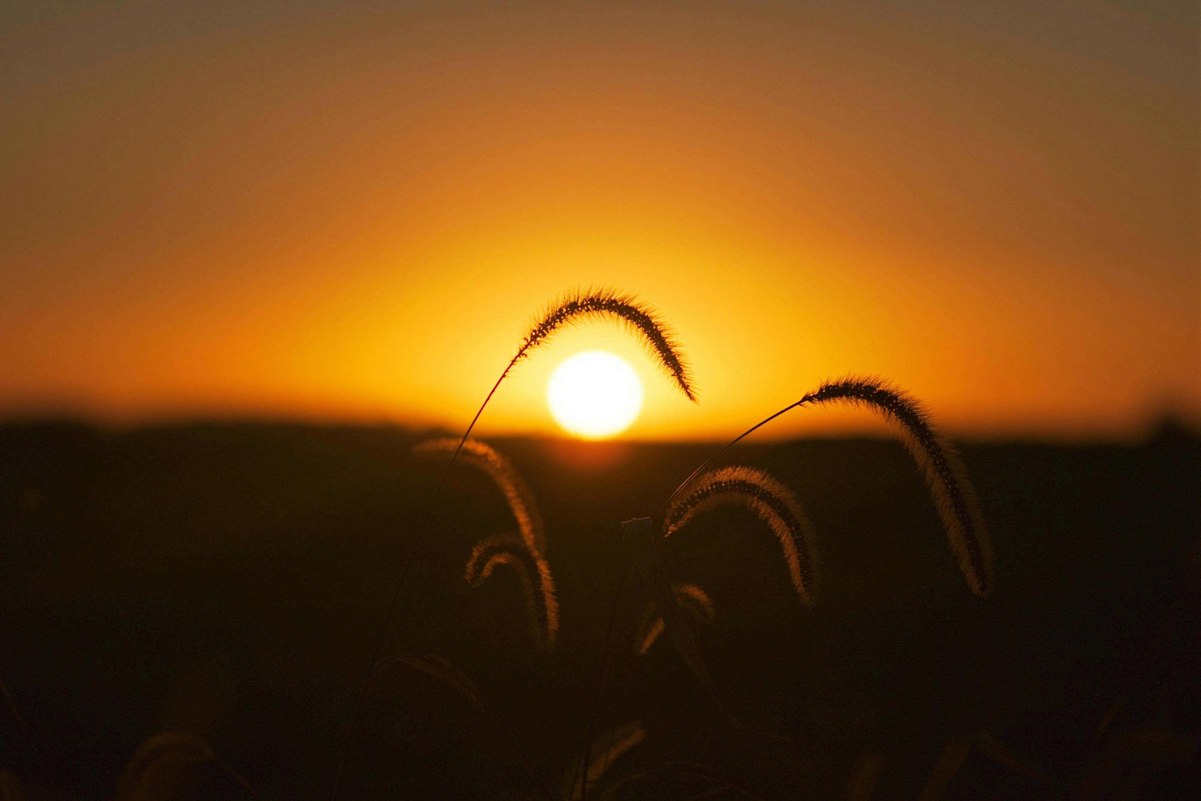 Photo by consoledotlog