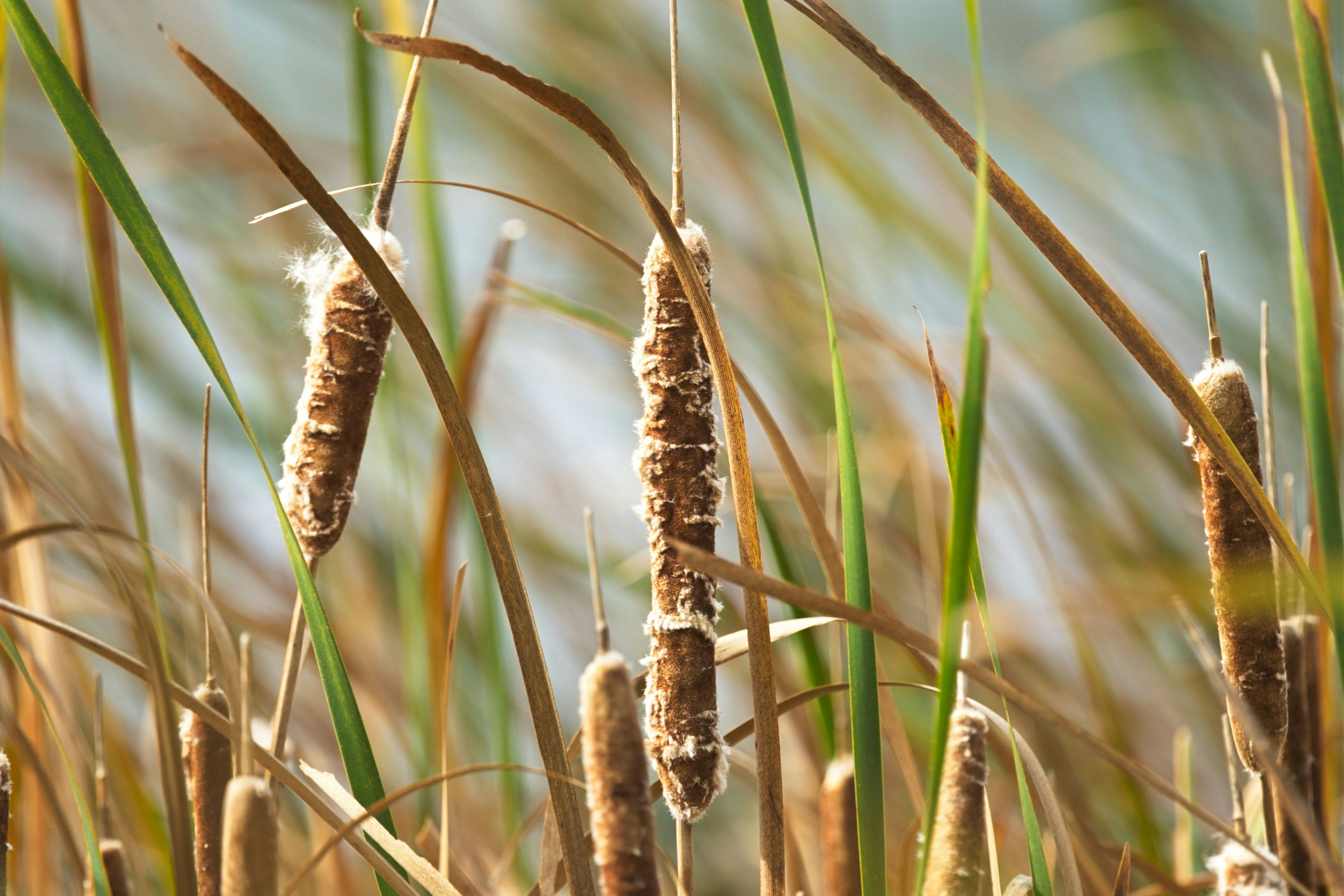 Photo by consoledotlog