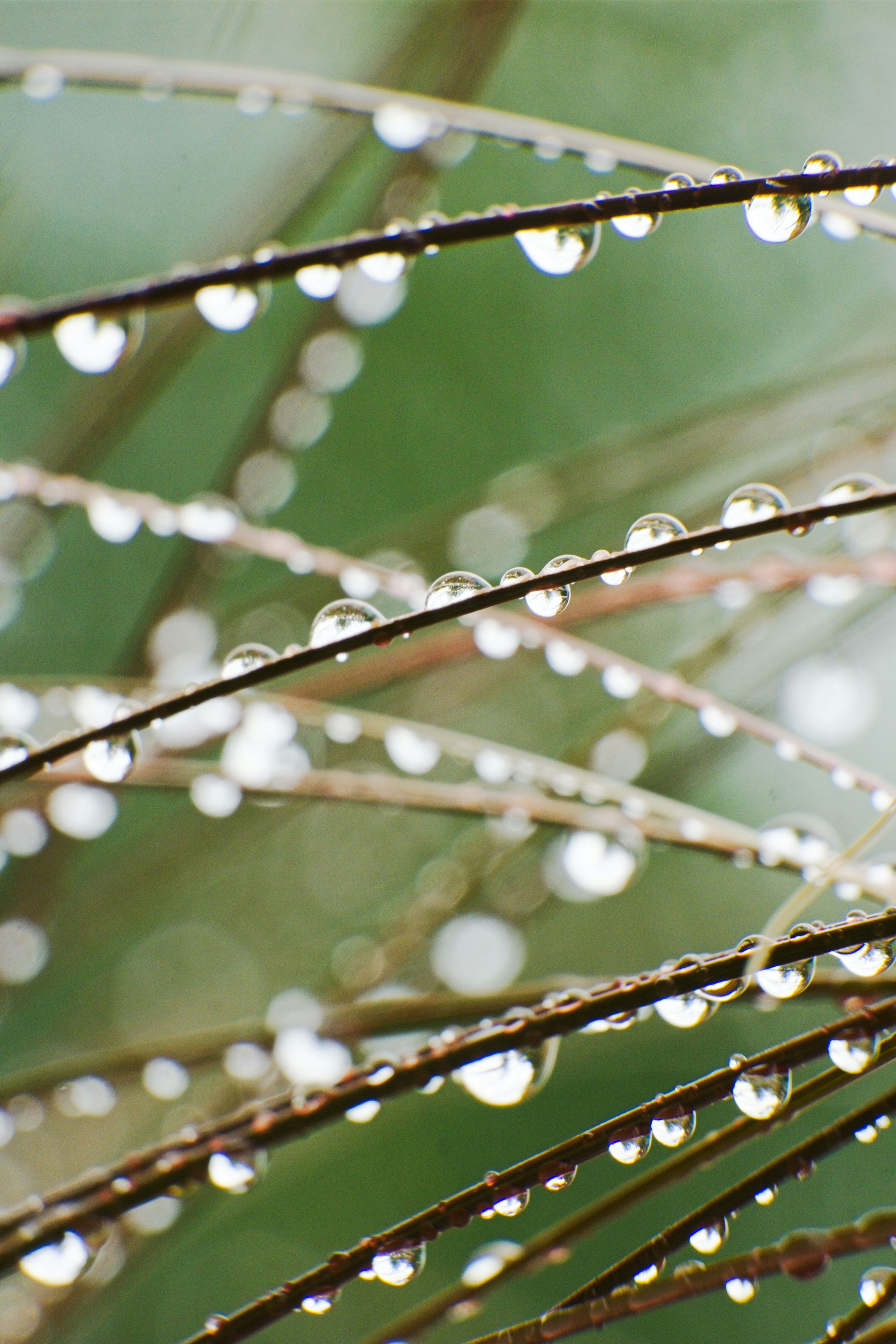 Photo by consoledotlog