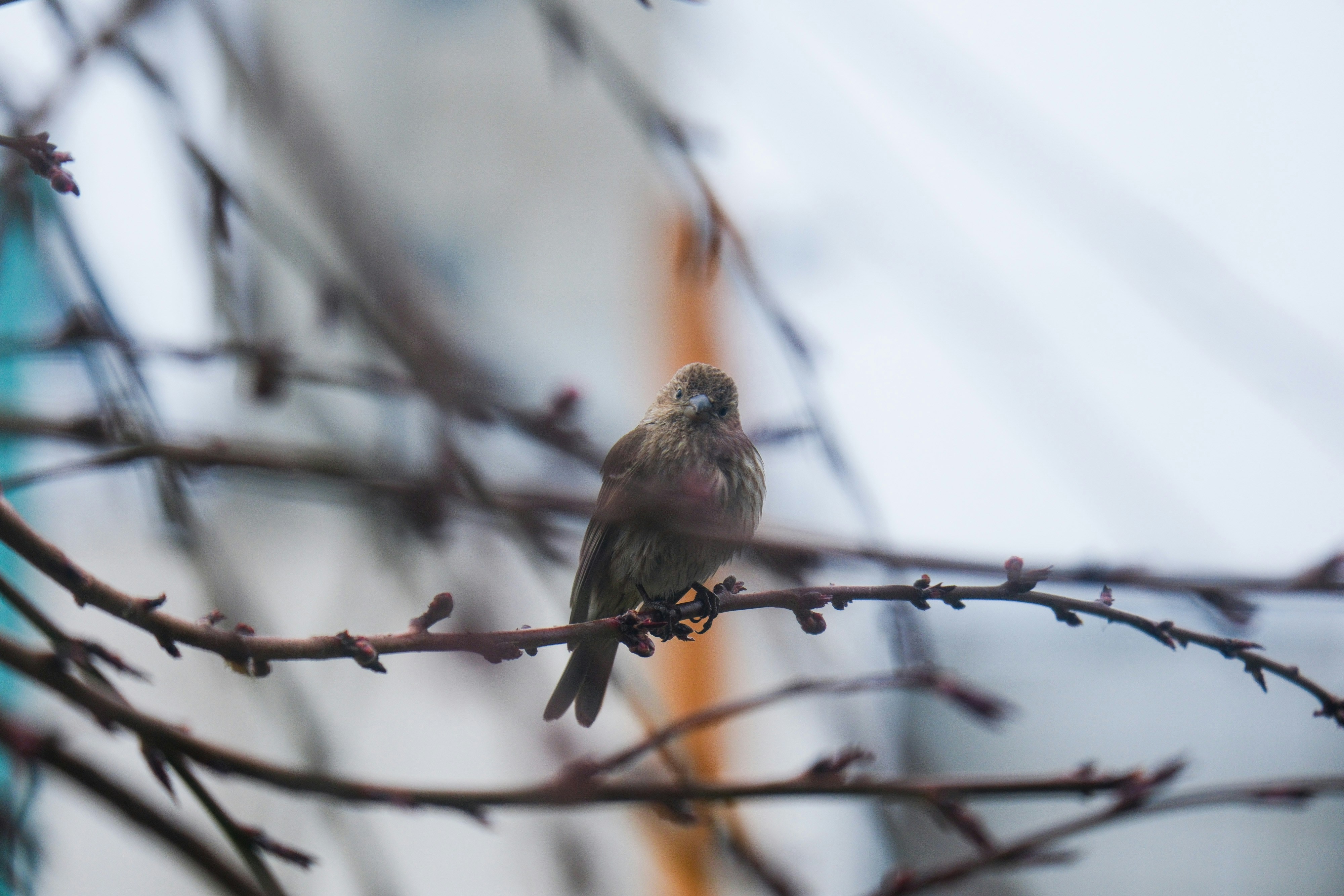 Photo by consoledotlog