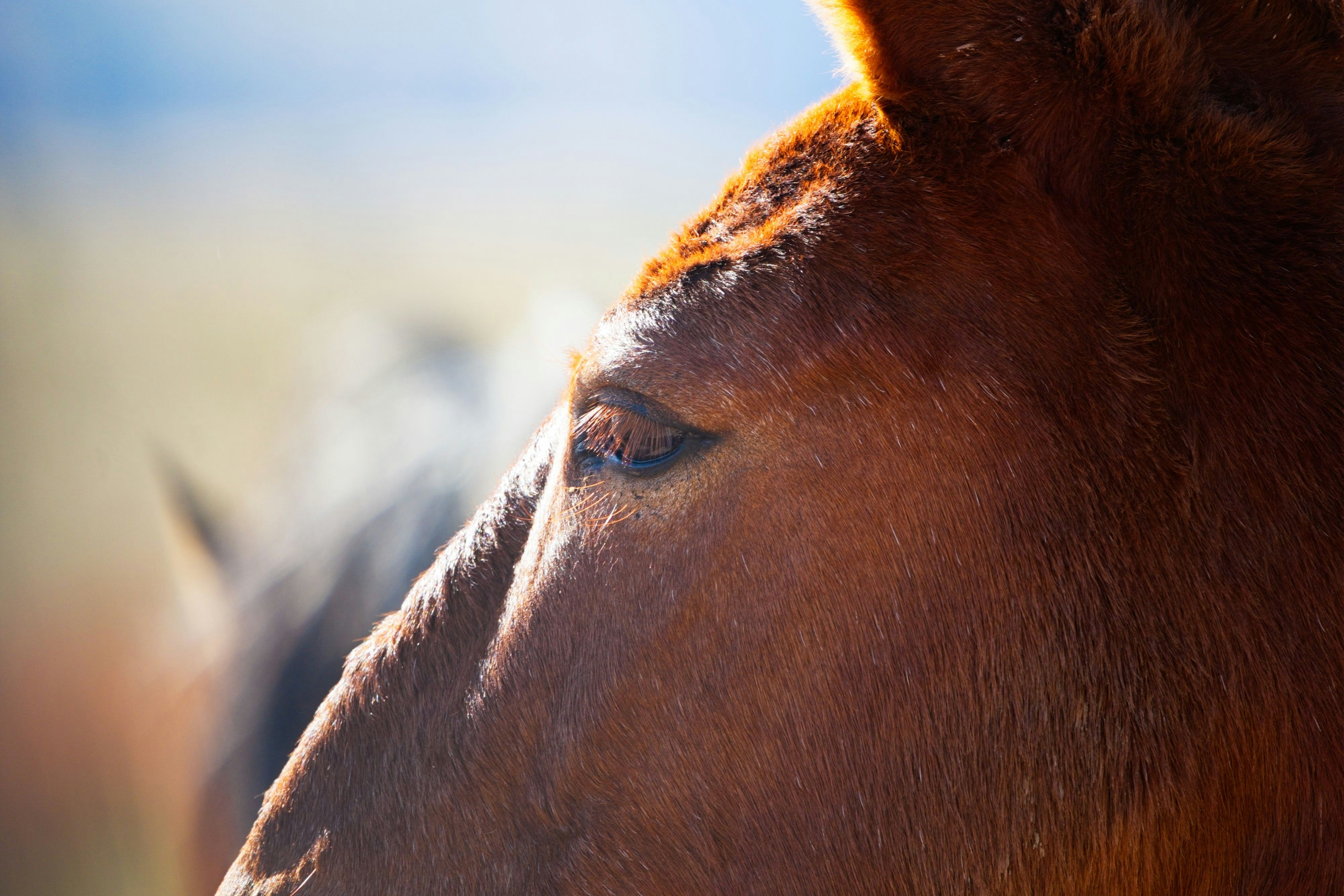 Photo by consoledotlog