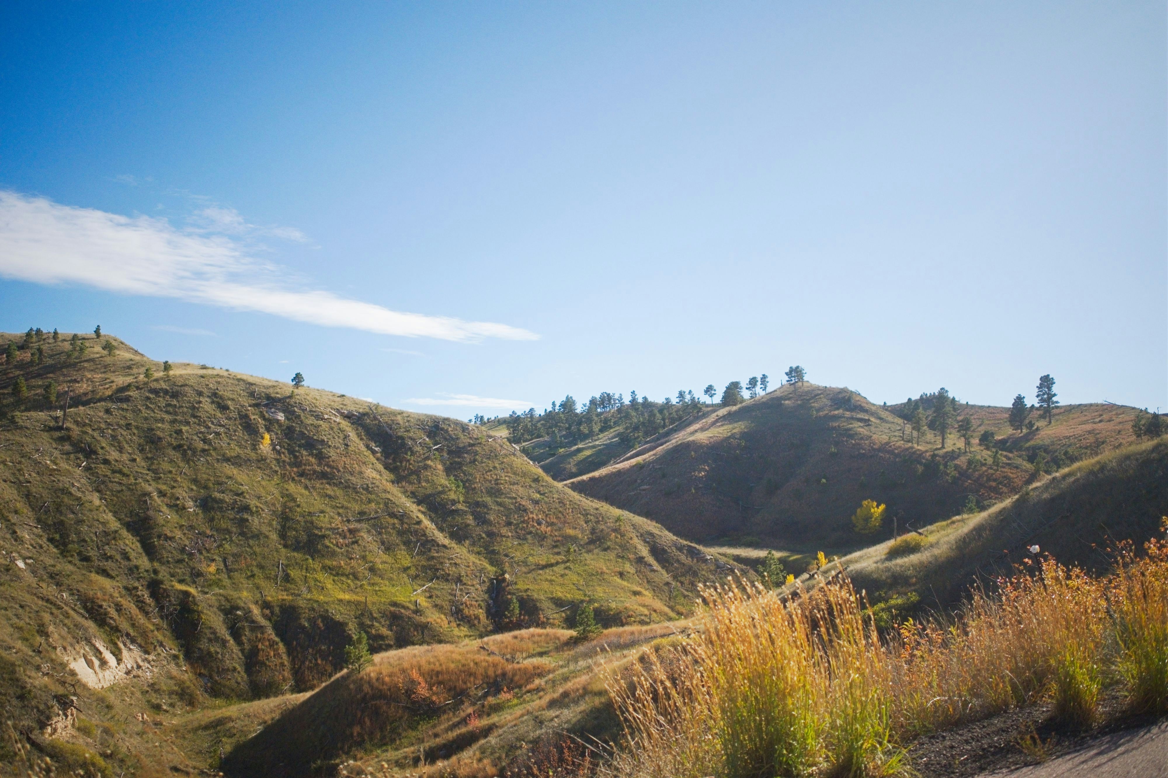 Photo by consoledotlog