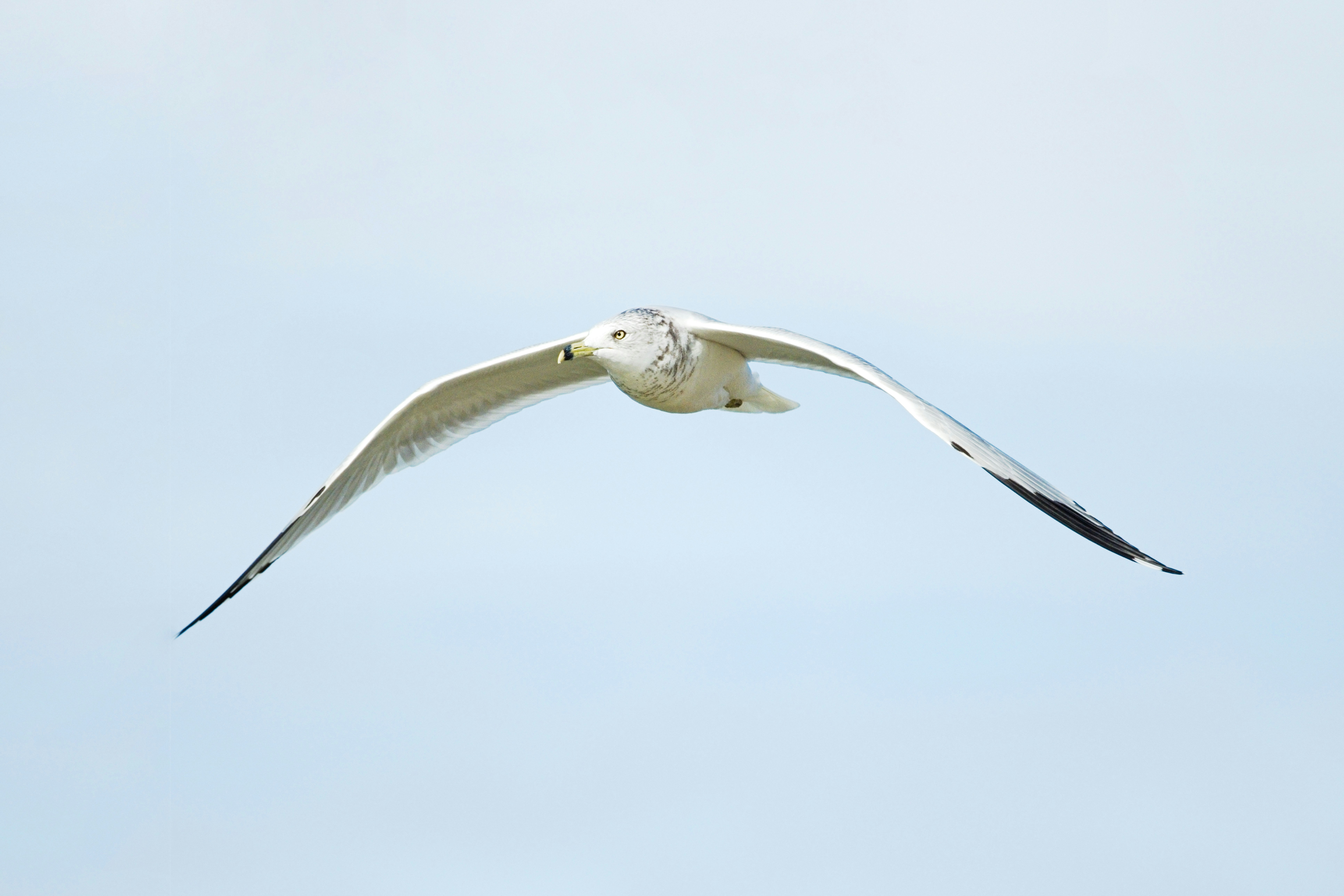 Photo by consoledotlog