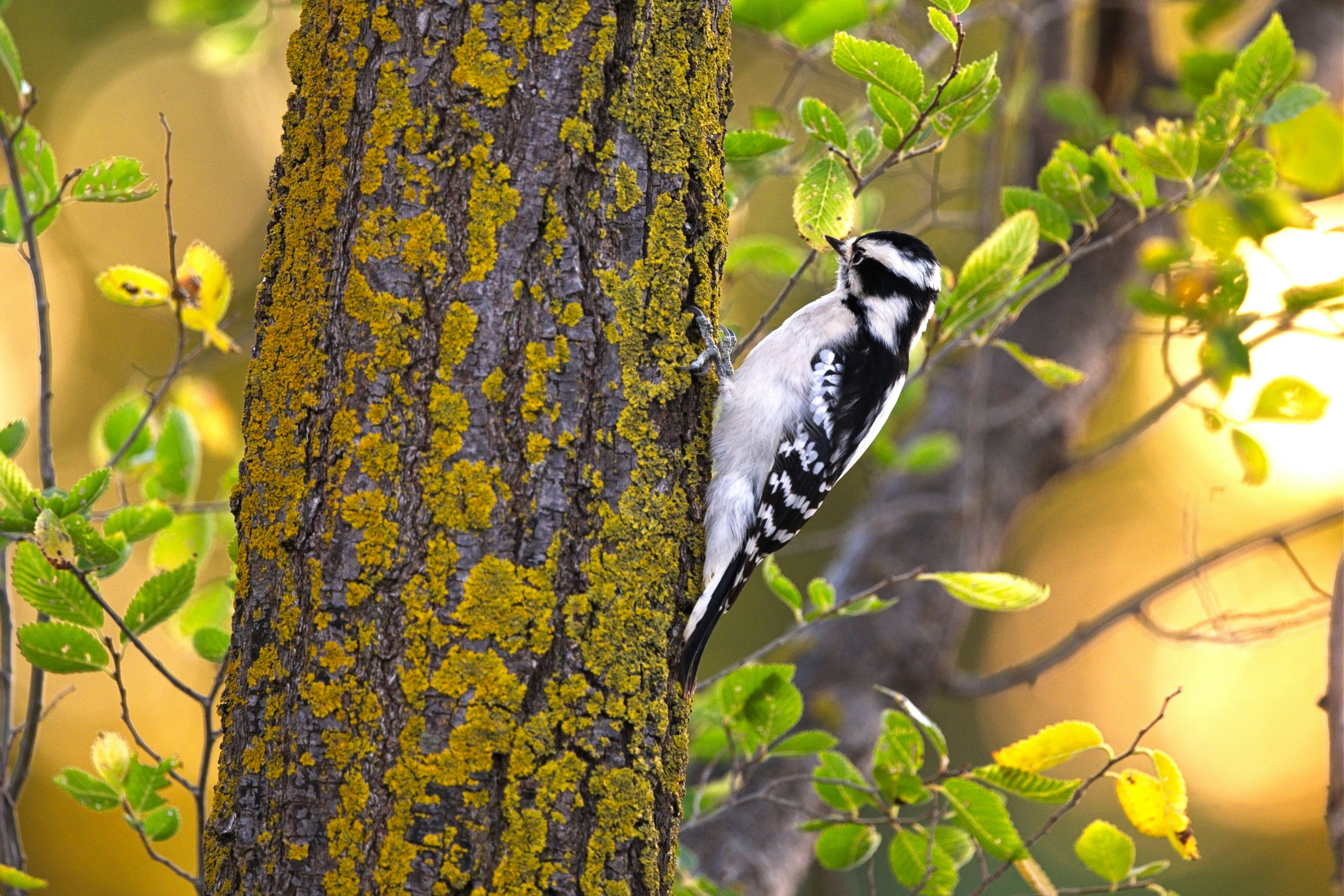 Photo by consoledotlog