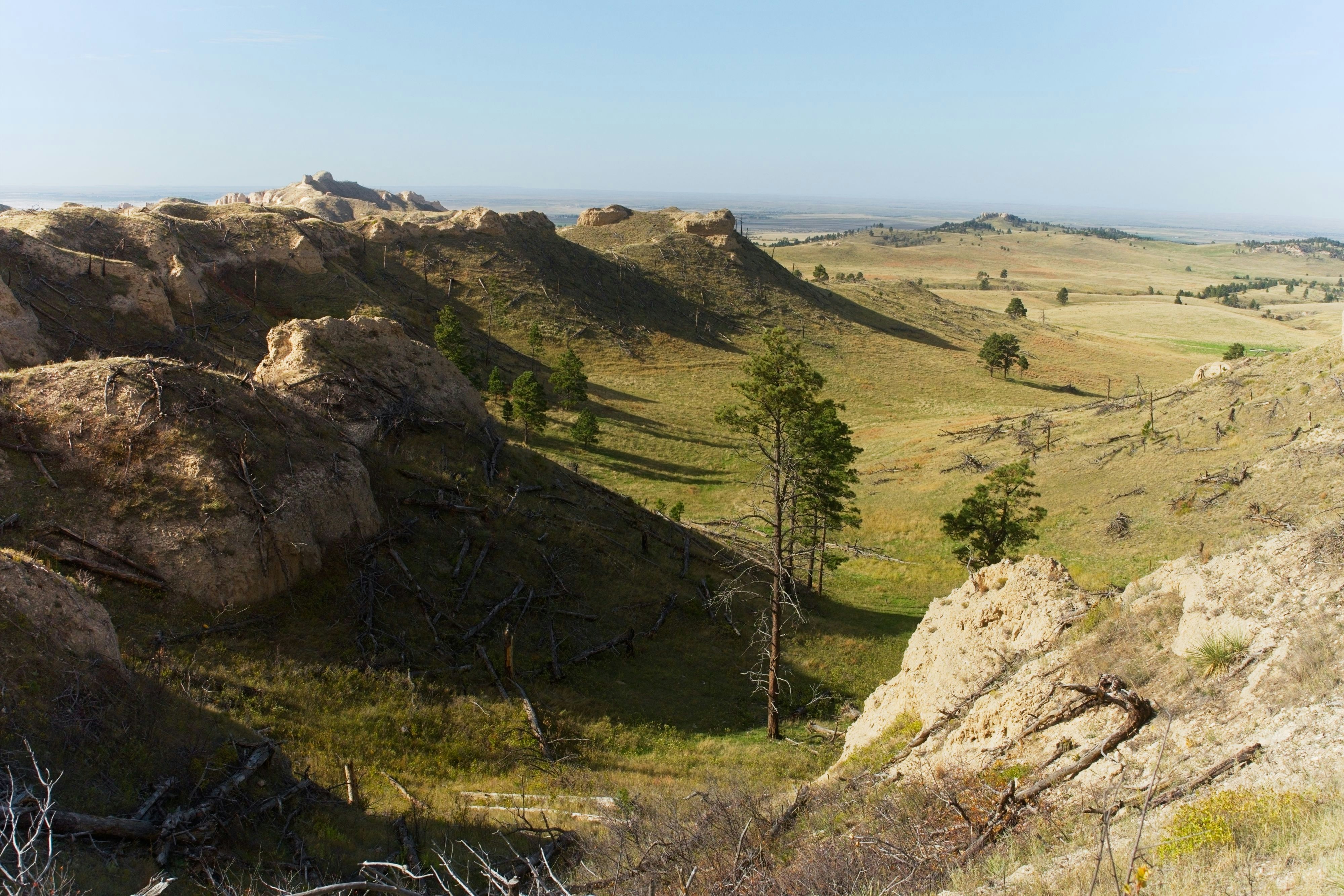 Photo by consoledotlog