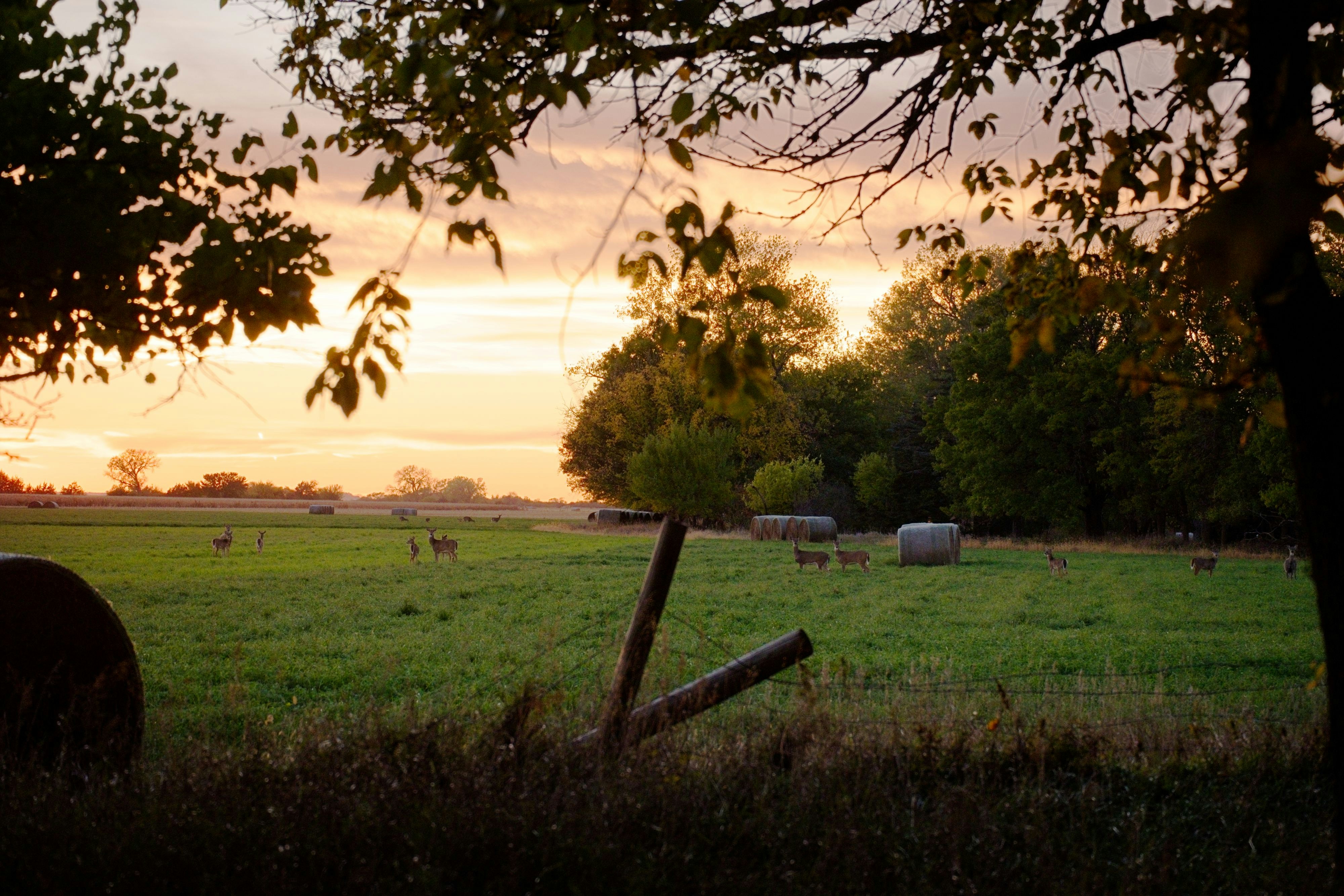 Photo by consoledotlog