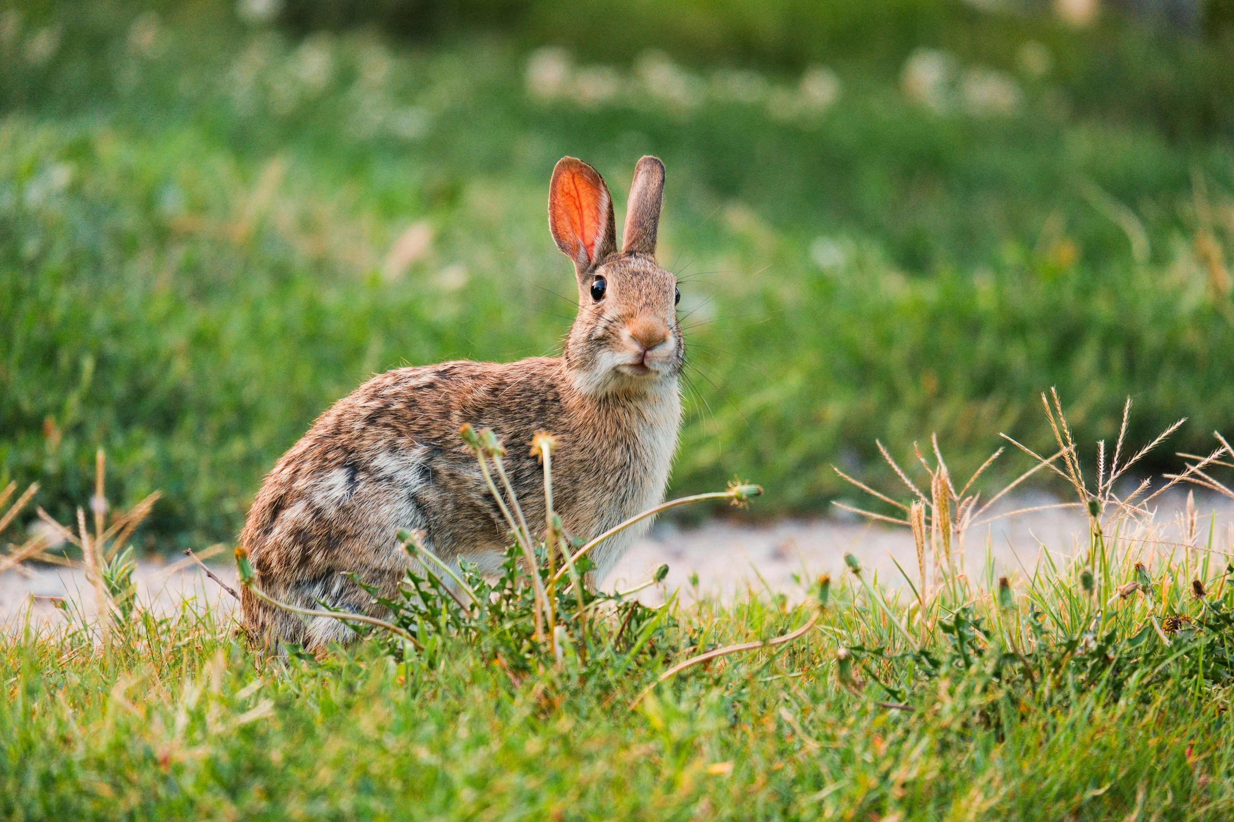 Photo by consoledotlog