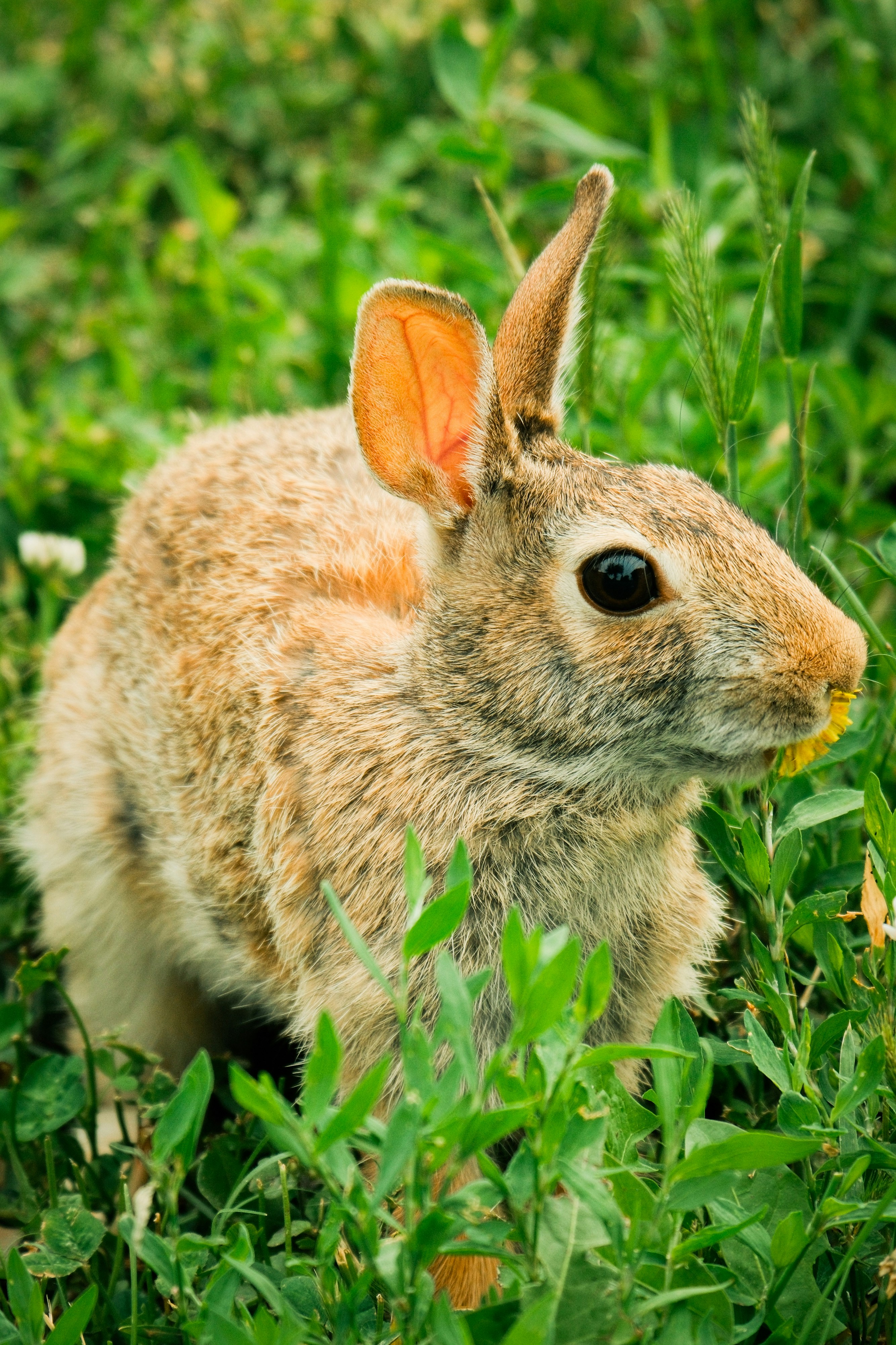 Photo by consoledotlog