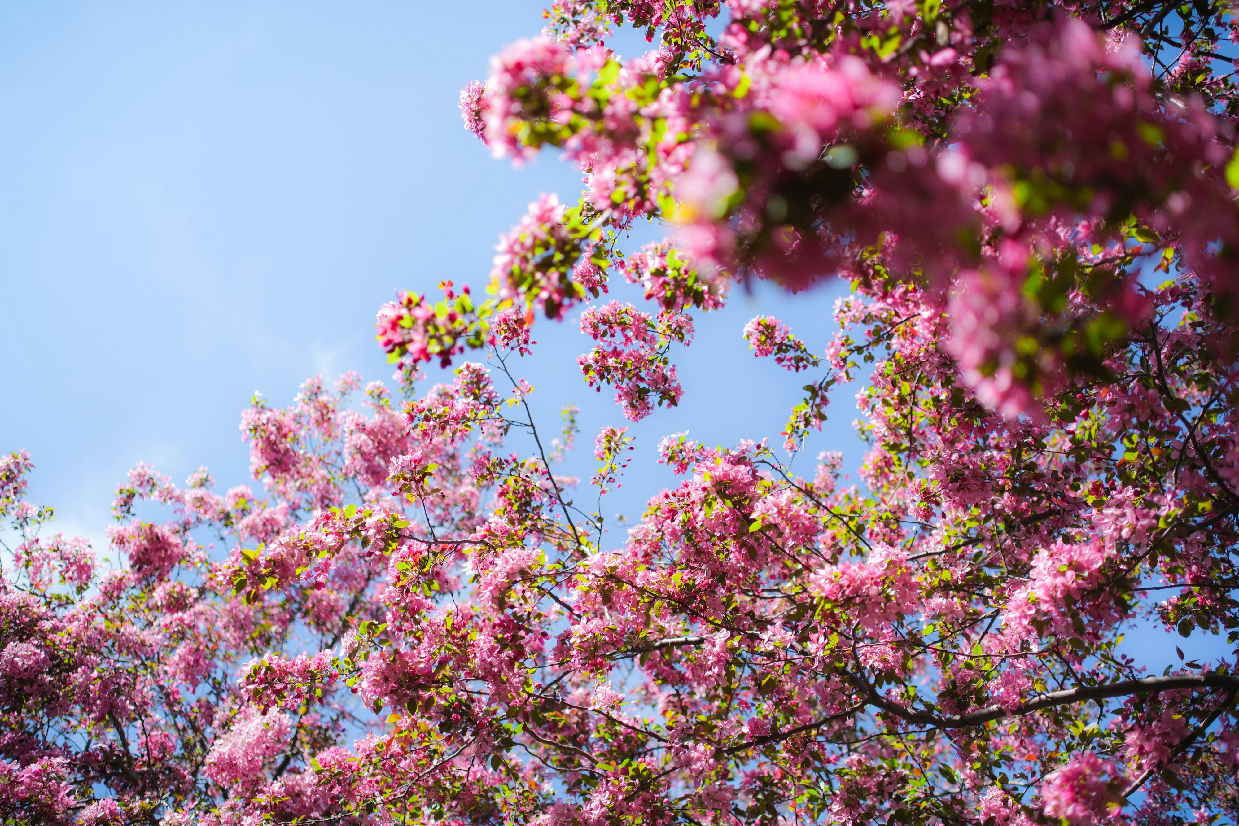 Photo by consoledotlog