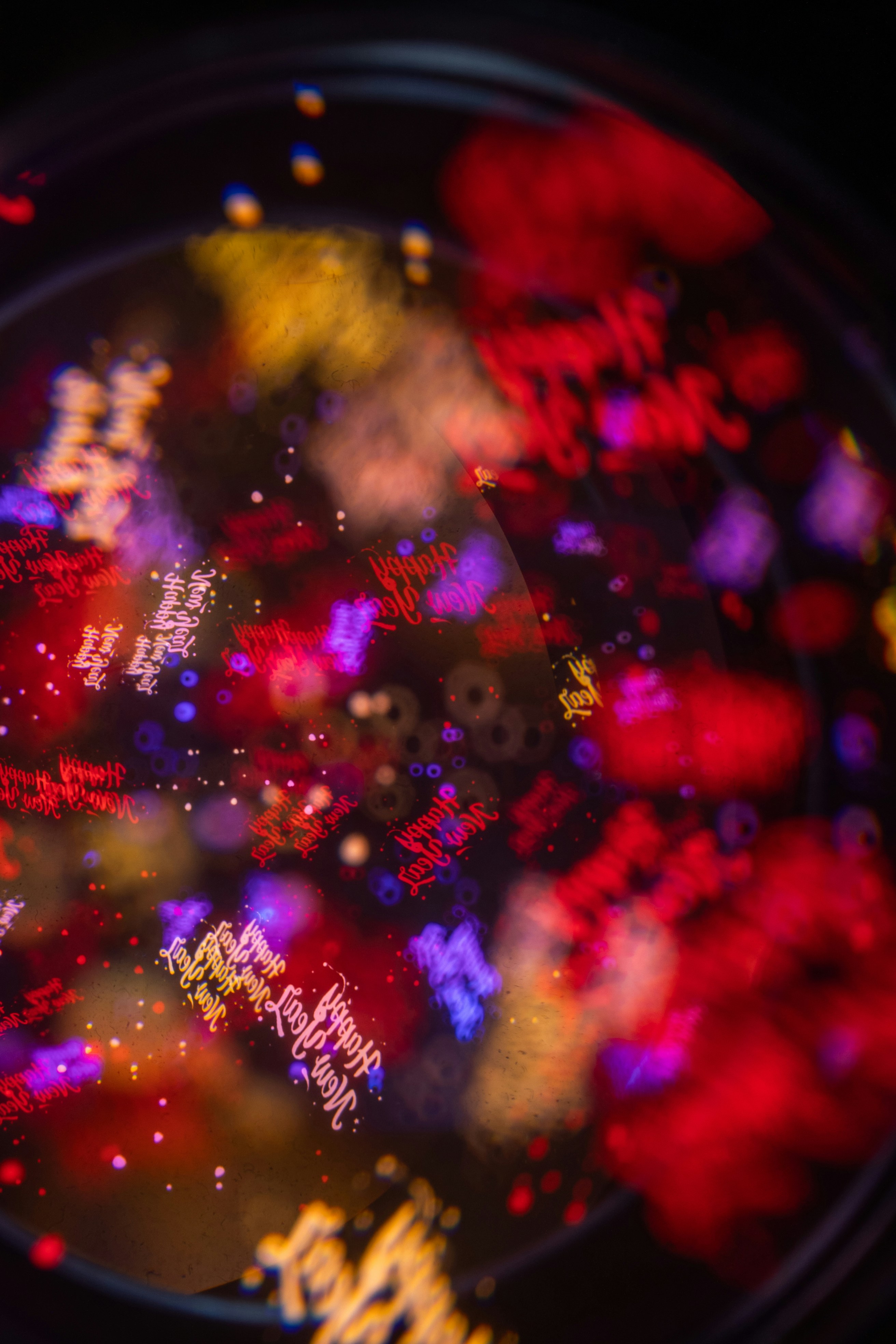 Photo by andrilliardbond