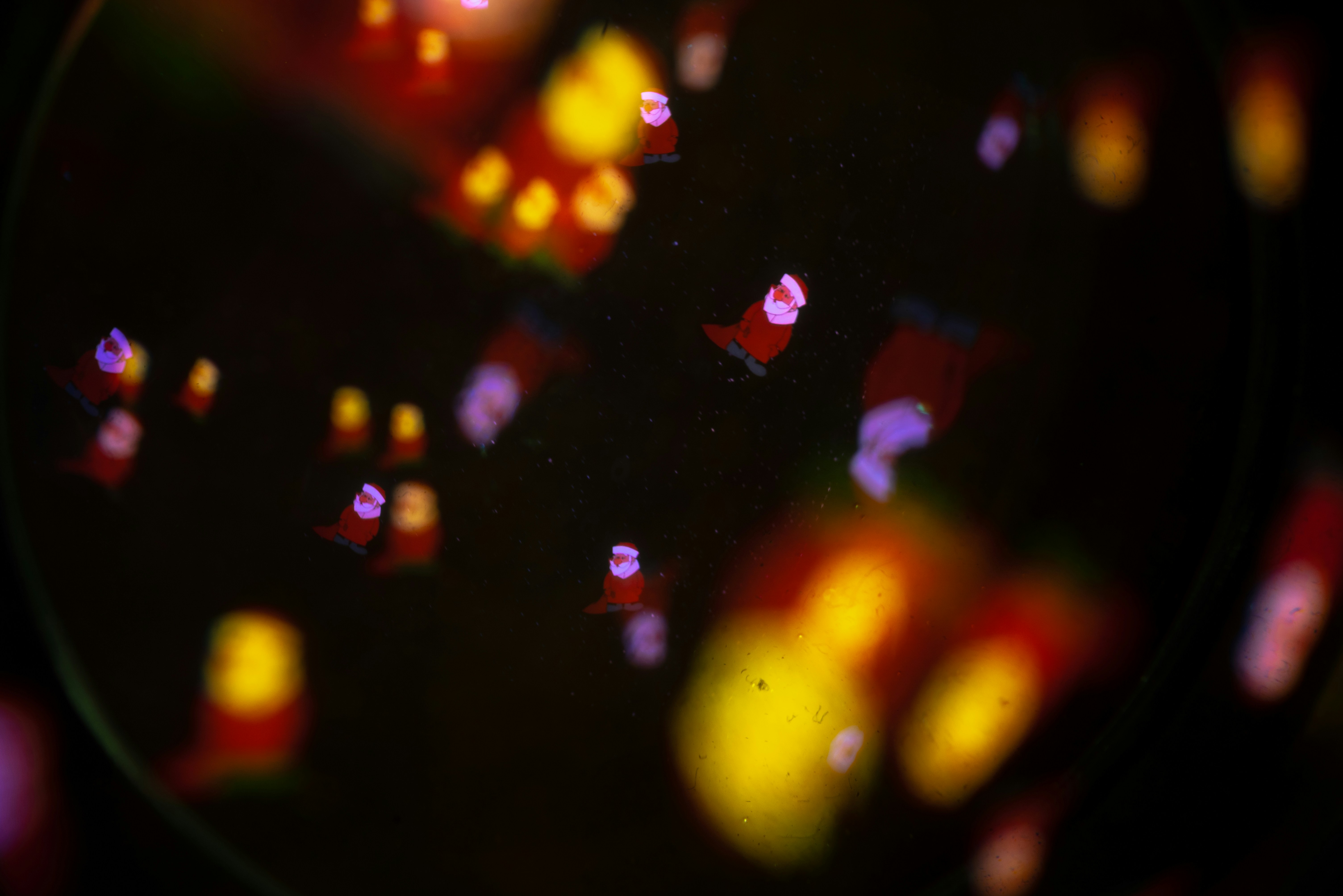 Photo by andrilliardbond