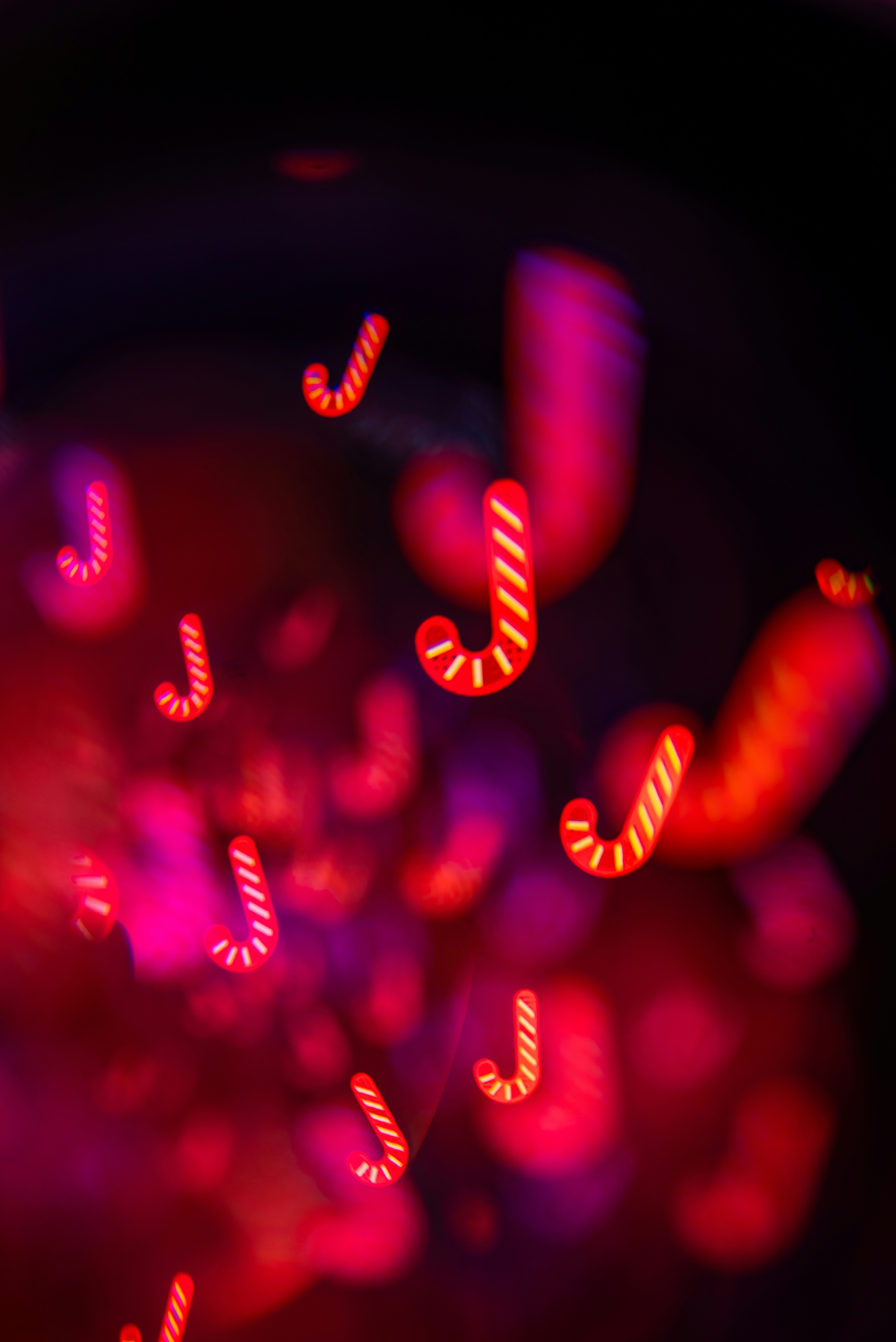 Photo by andrilliardbond