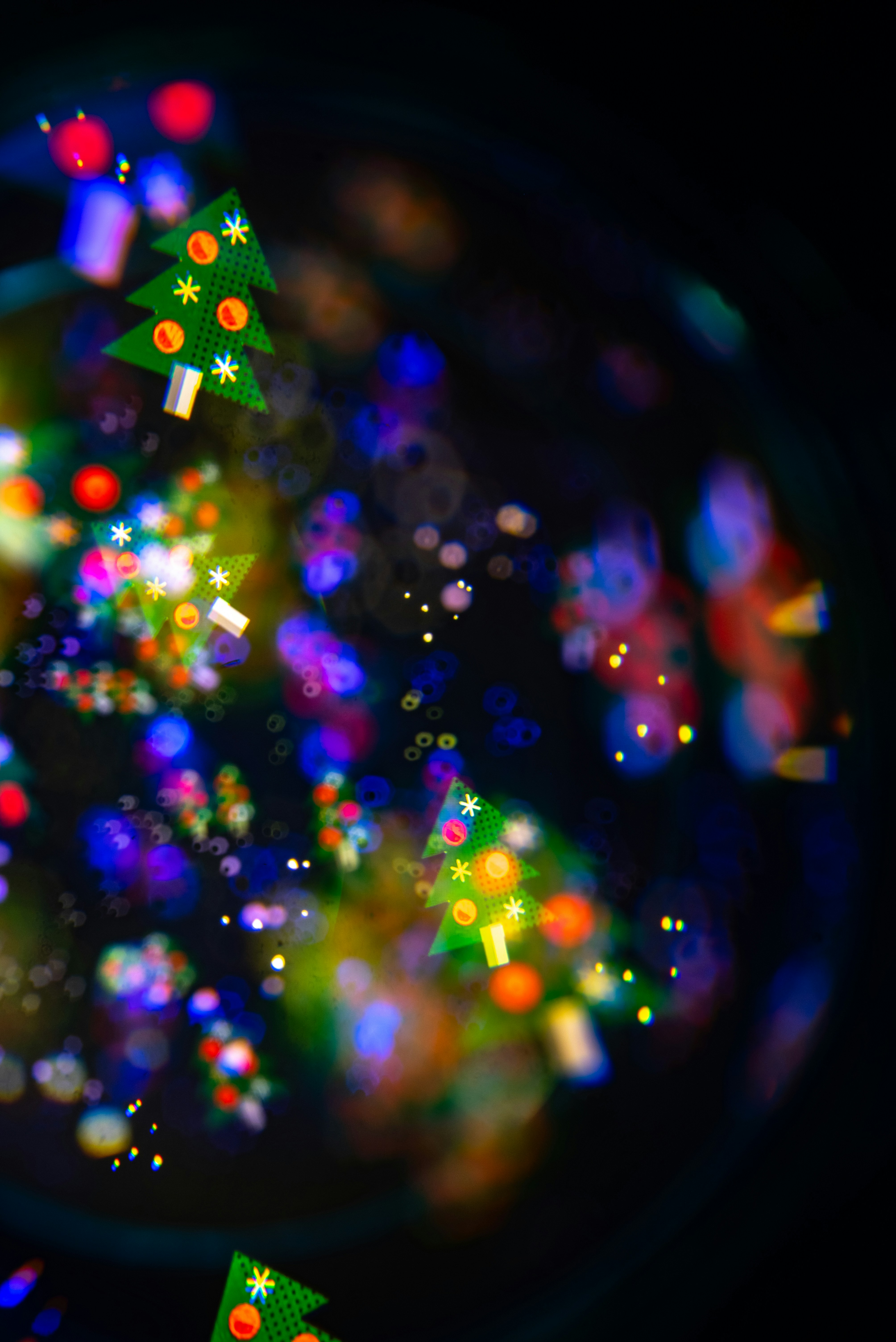 Photo by andrilliardbond