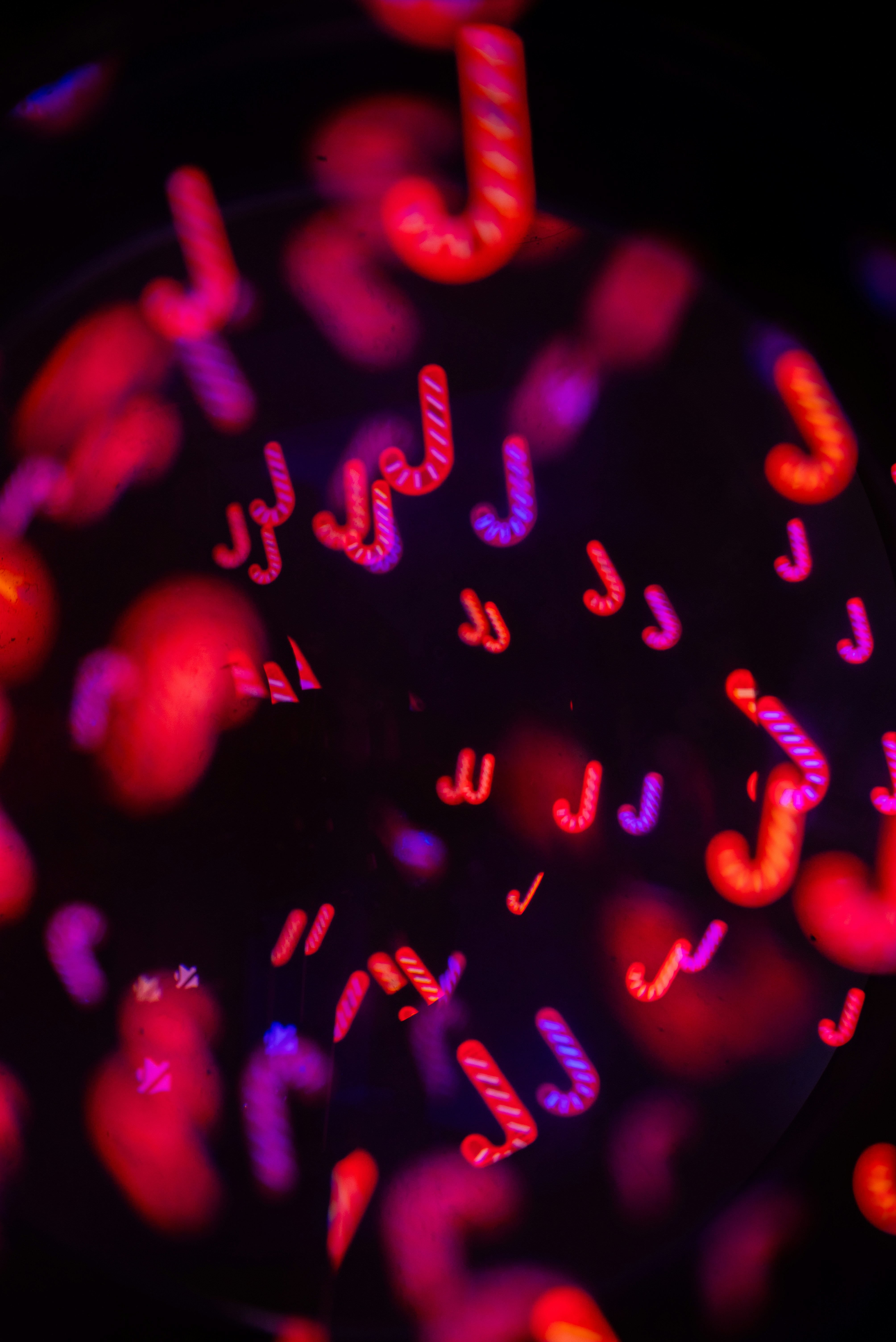 Photo by andrilliardbond