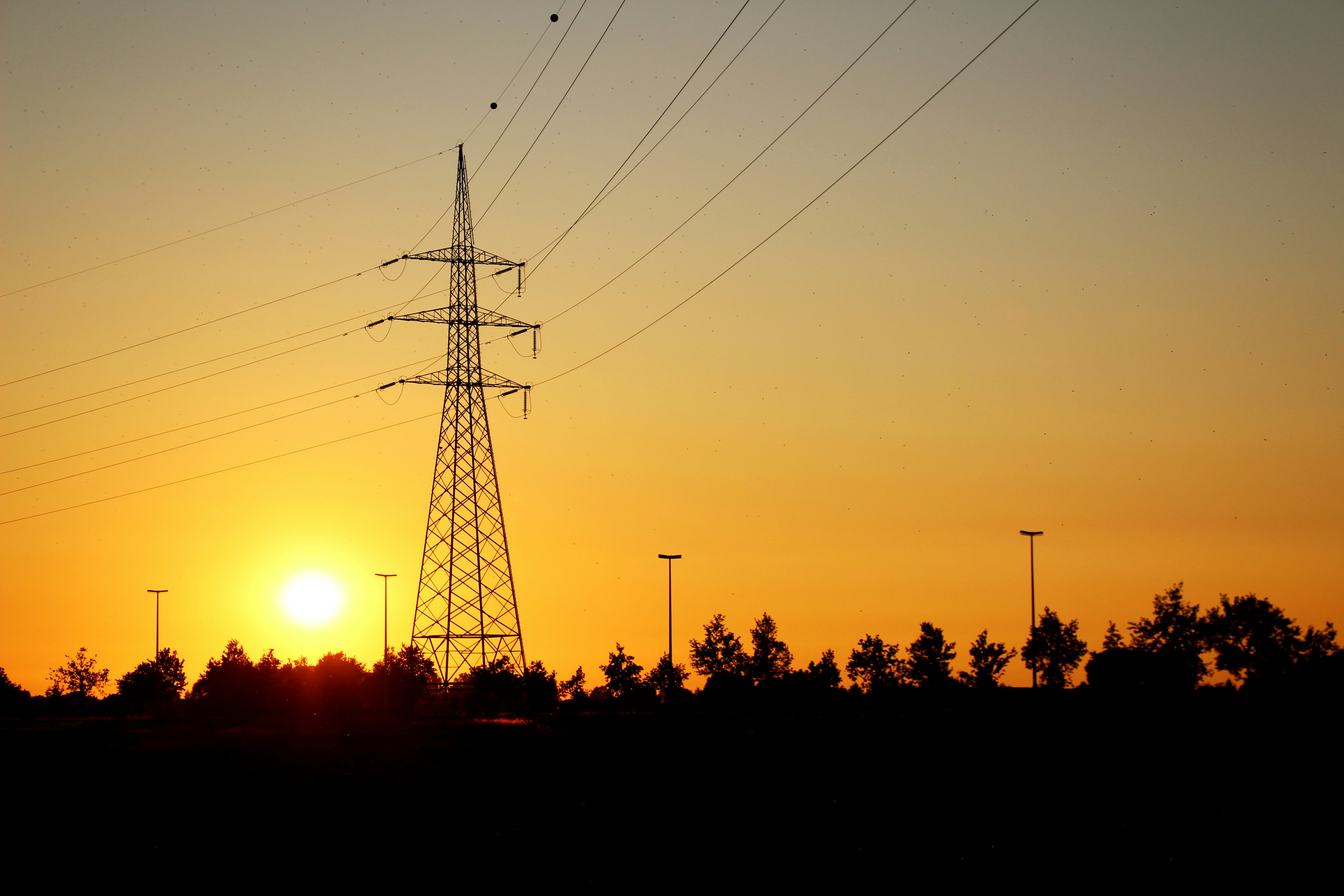 Photo by robin_vintevogel