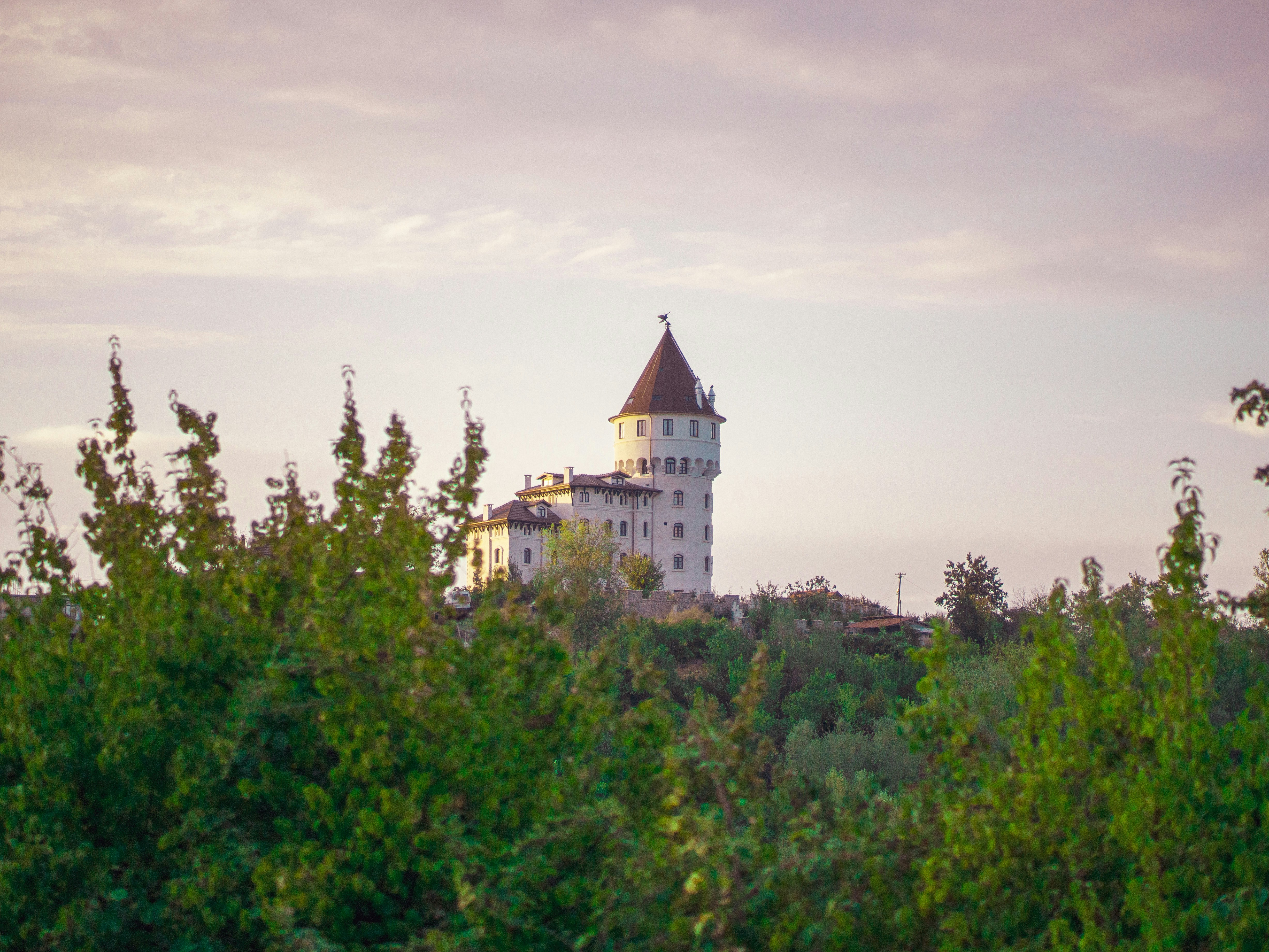 Castle on a hill surrounded by trees at sunset.