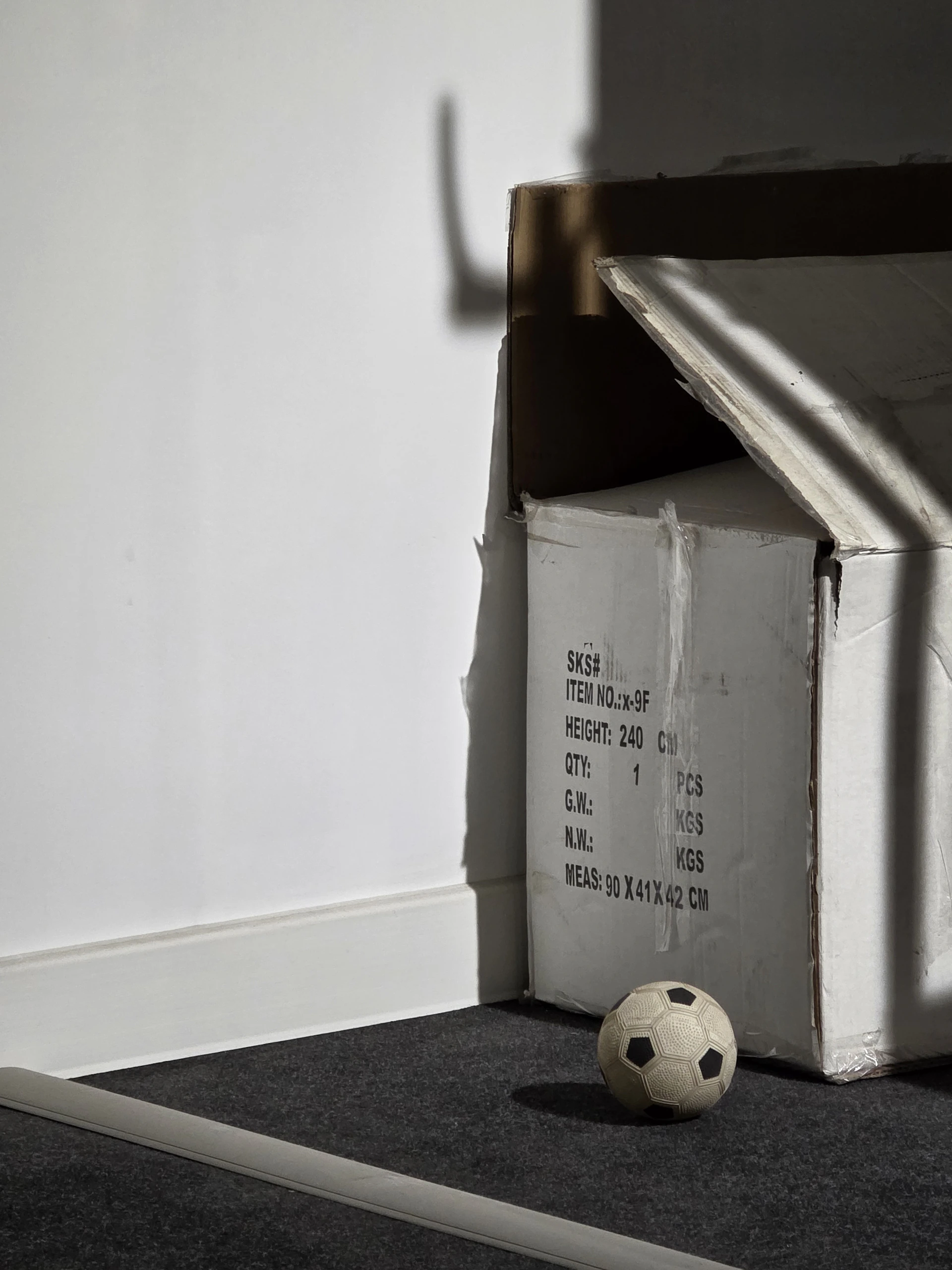 A soccer ball sits by a cardboard box.