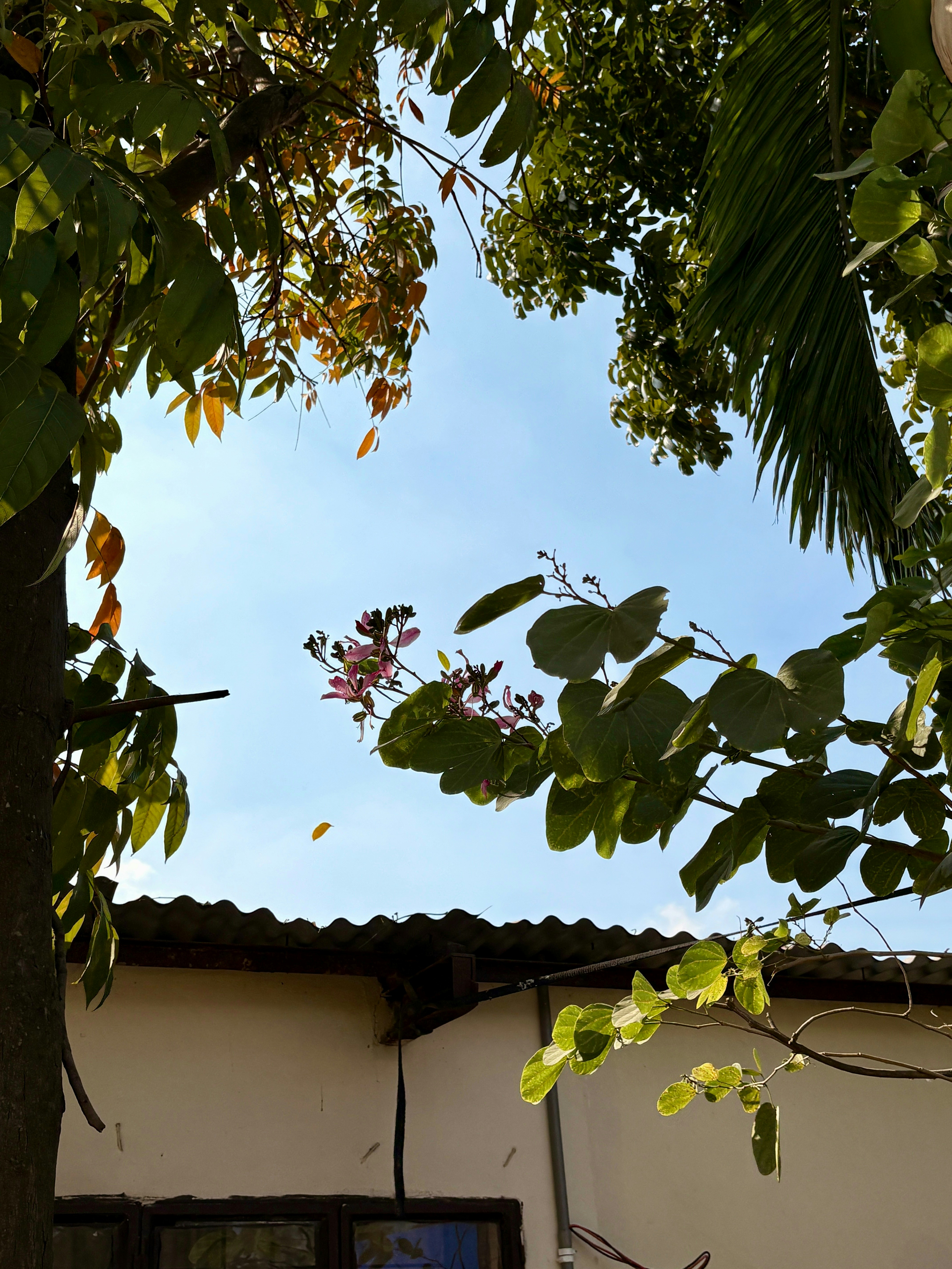 Photo by ehteshamareez