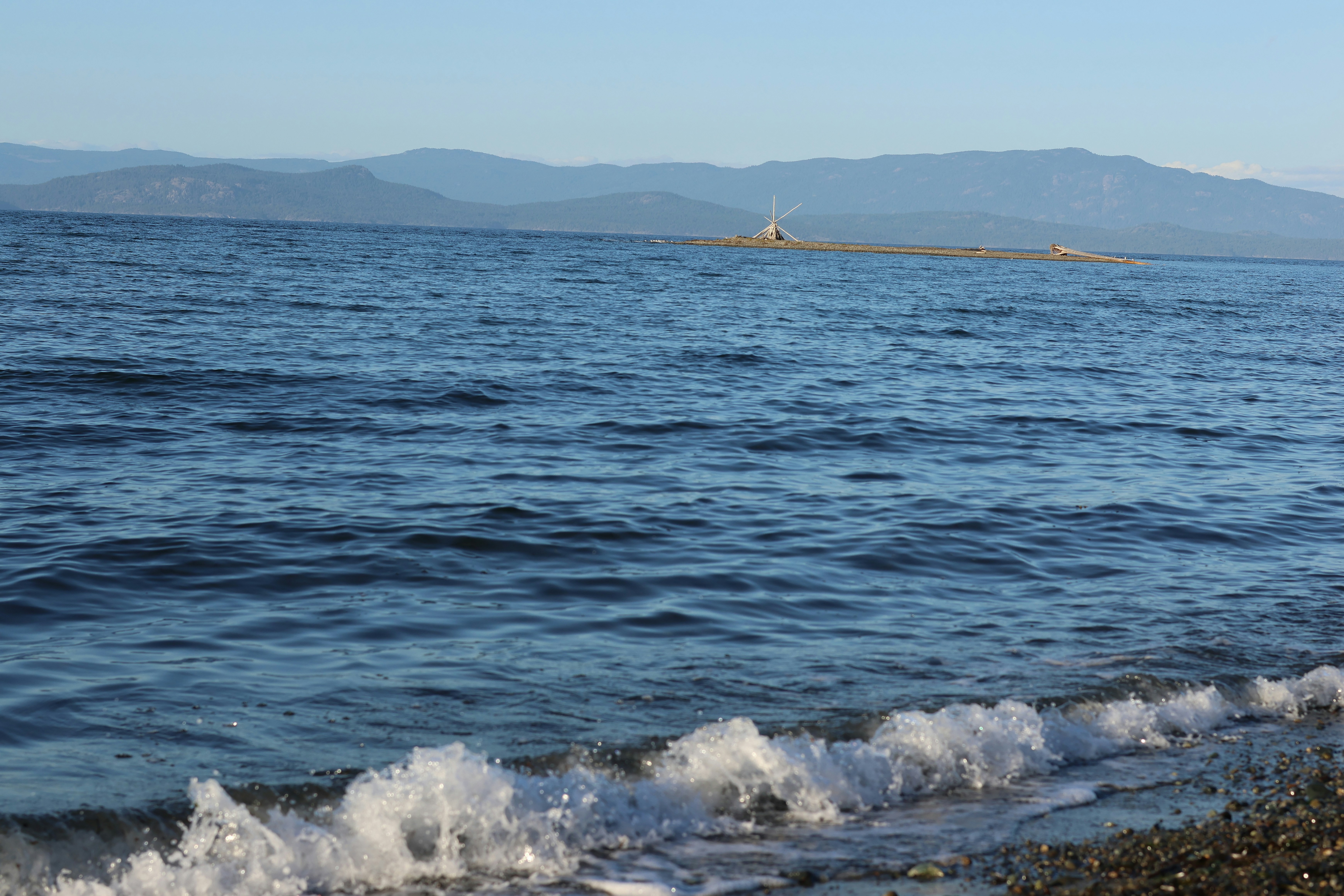 Photo by africantransplantfotos