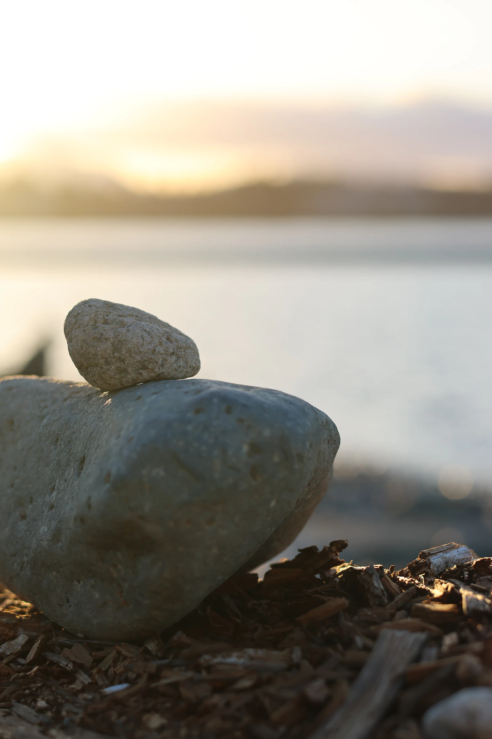 Meditation