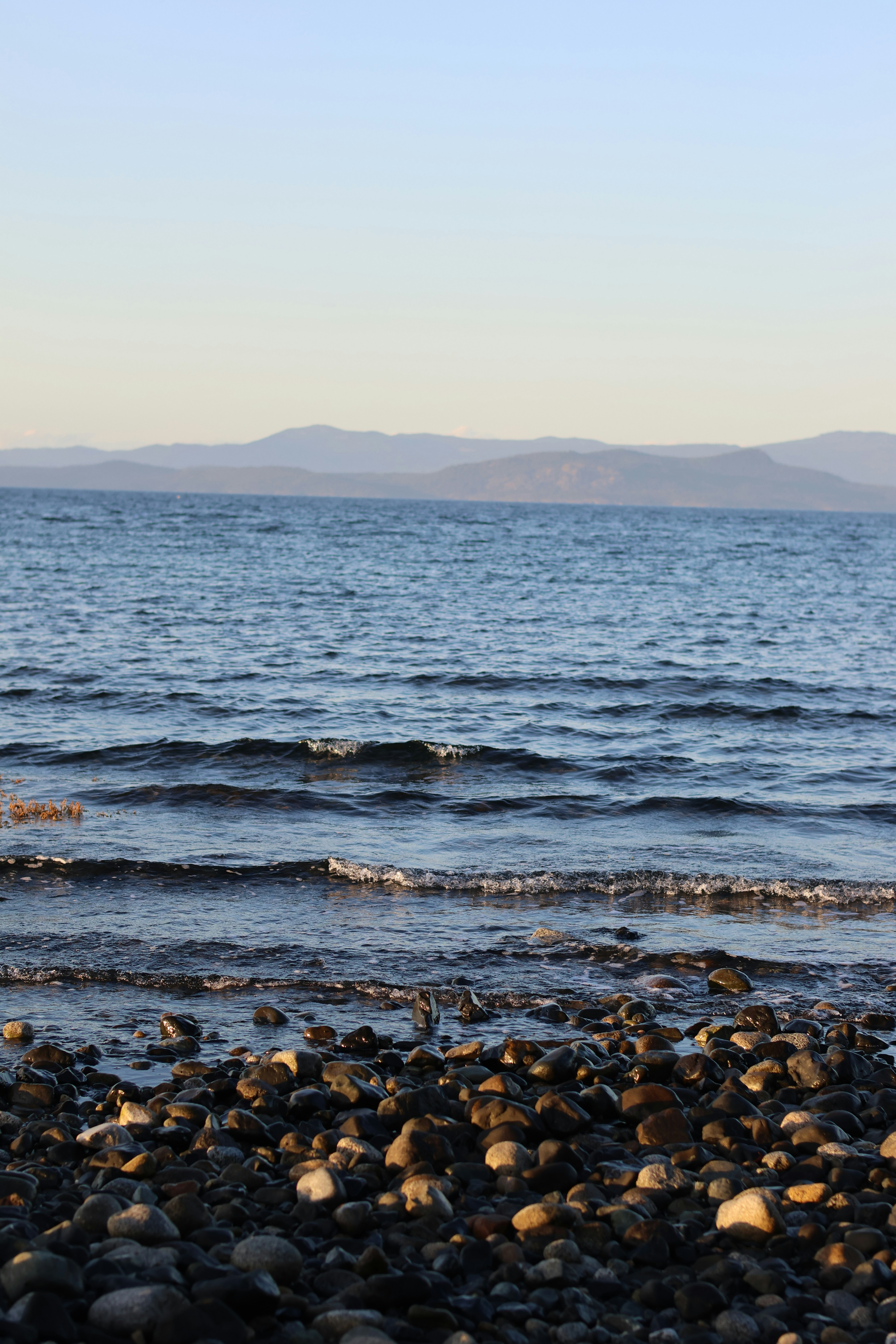 Photo by africantransplantfotos