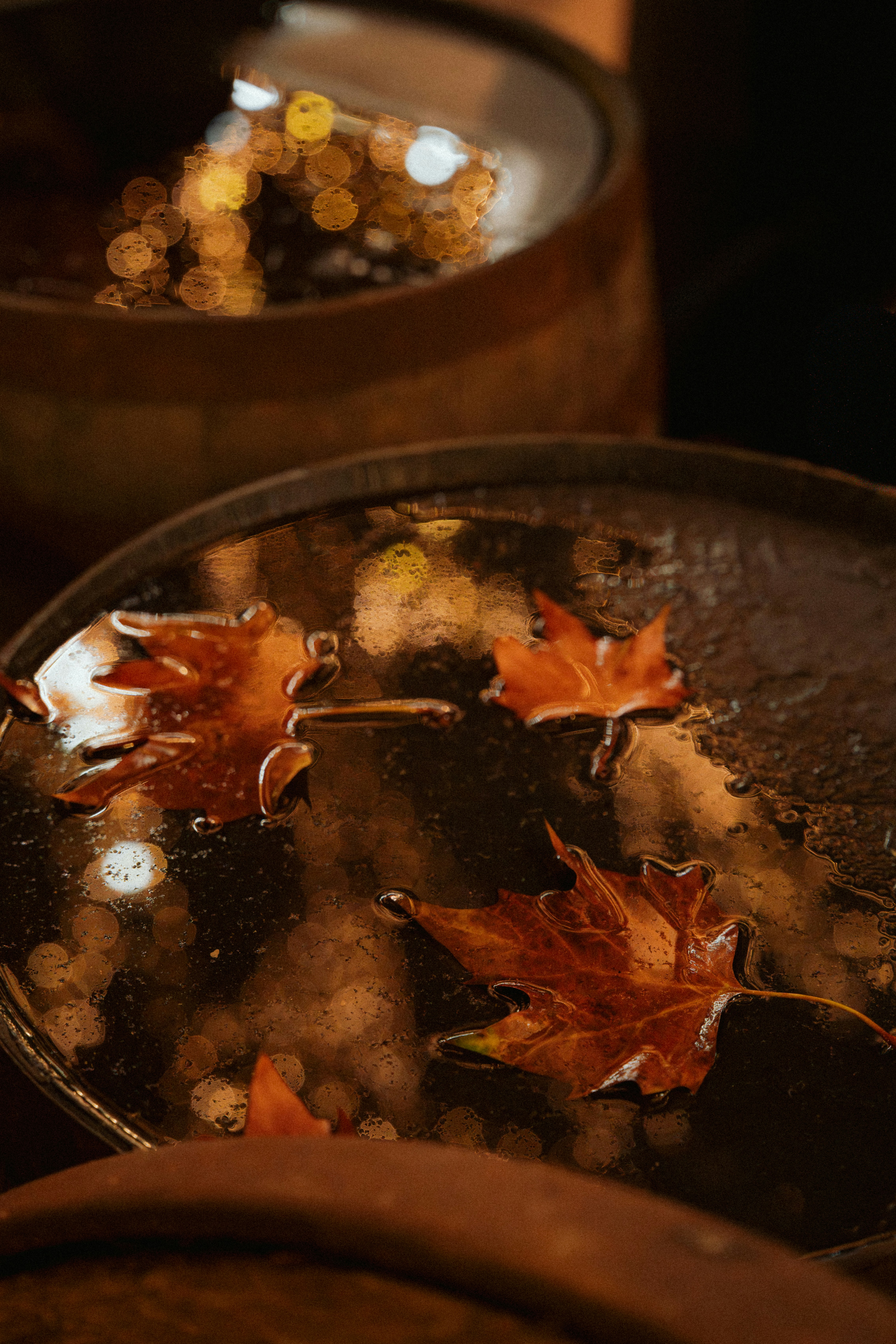 Autumn leaves floating on dark water with bokeh lights