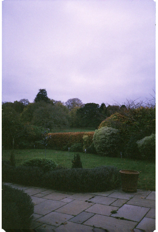 A lush garden with trees and manicured hedges.