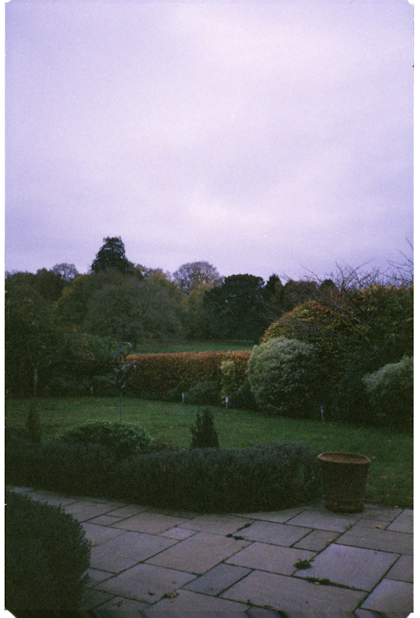 A lush garden with trees and manicured hedges.