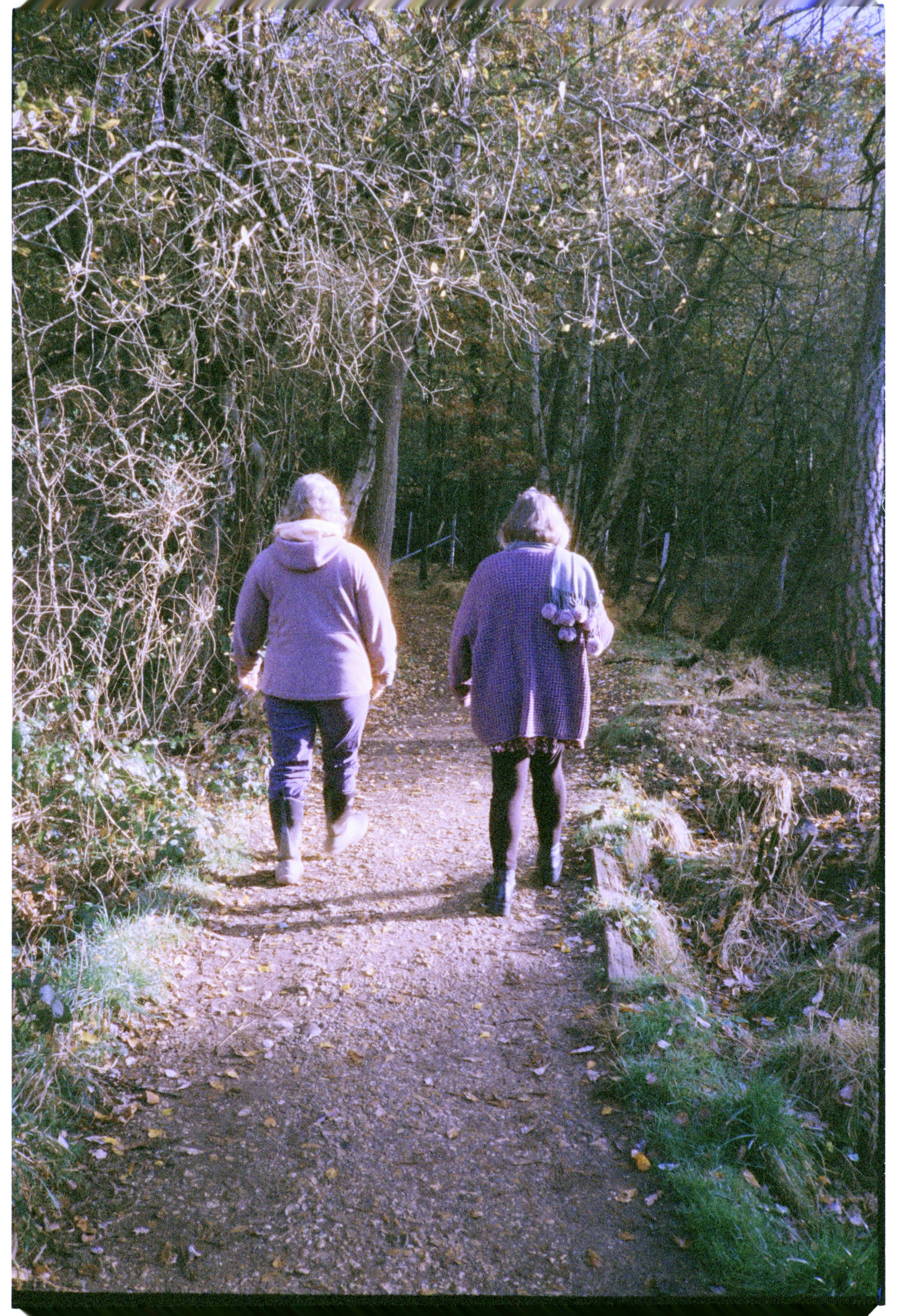 Zwei Personen, die auf einem Weg durch den Wald gehen.