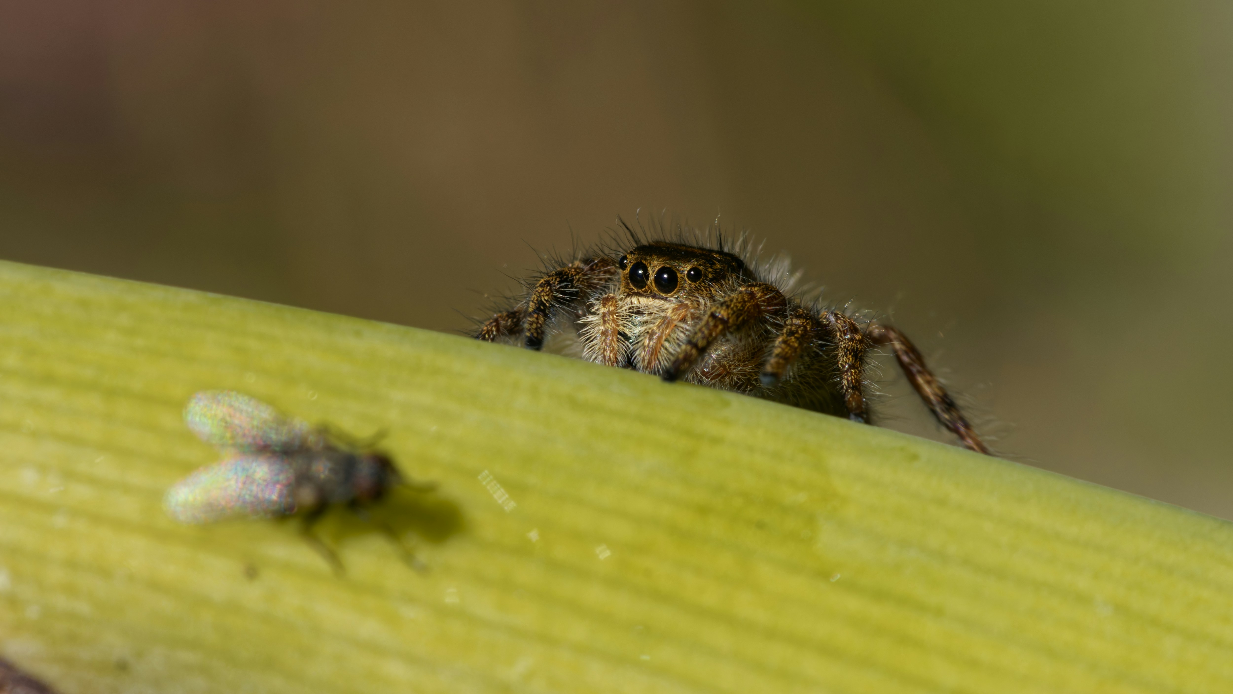 Photo by patrickbigelow_zoom_in