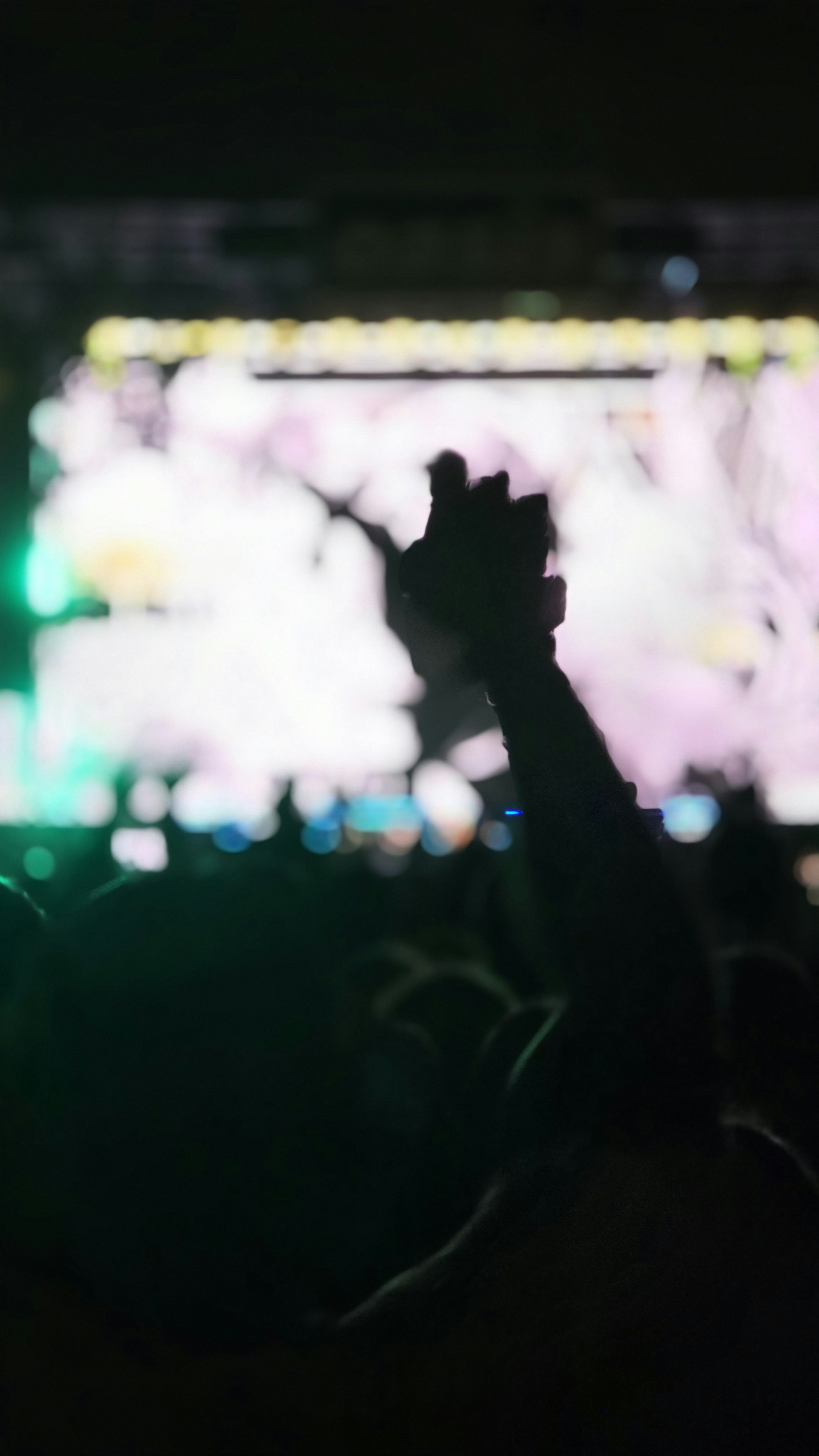 Photo by reinaldoadri