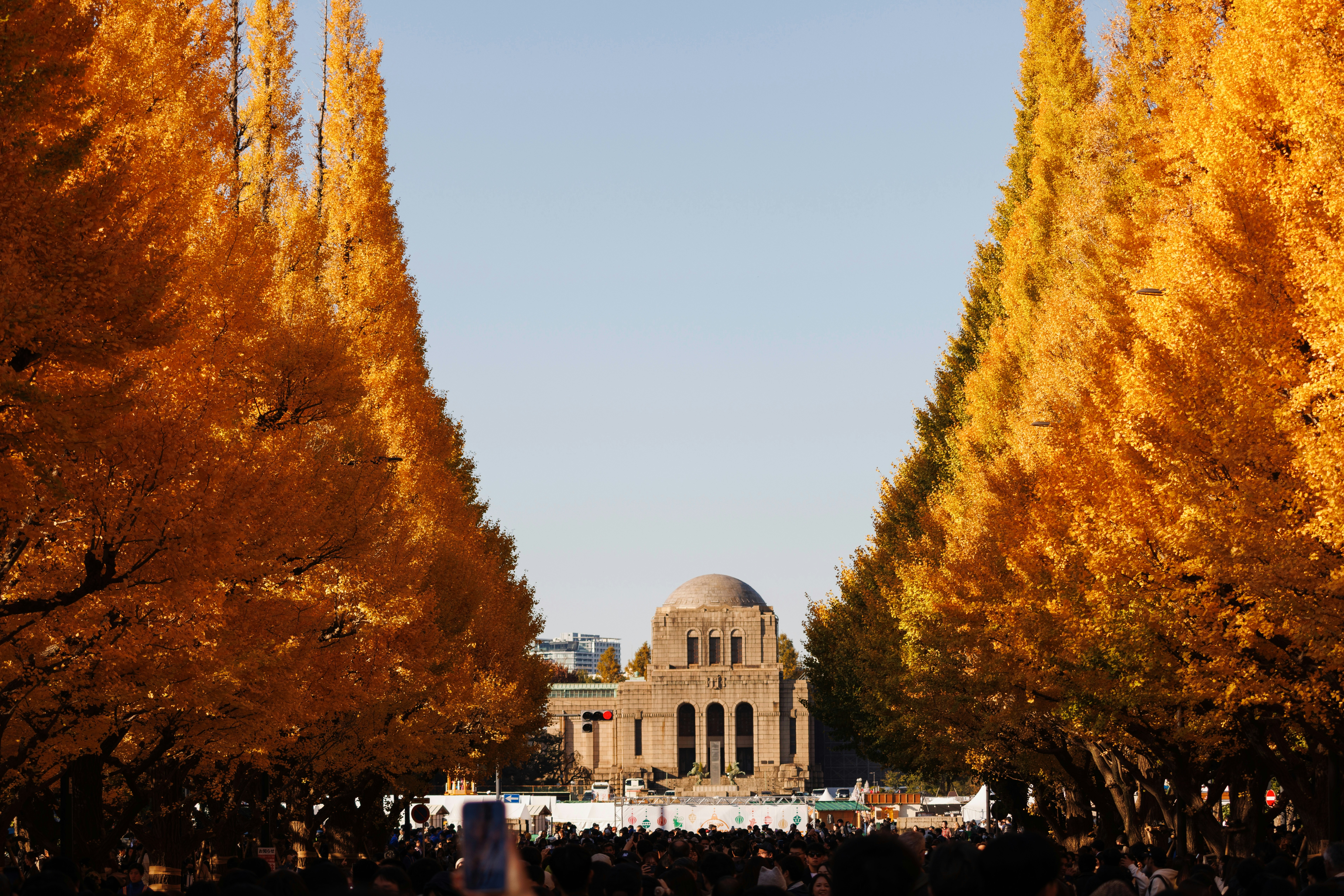 Golden autumn trees line a path to a domed building.