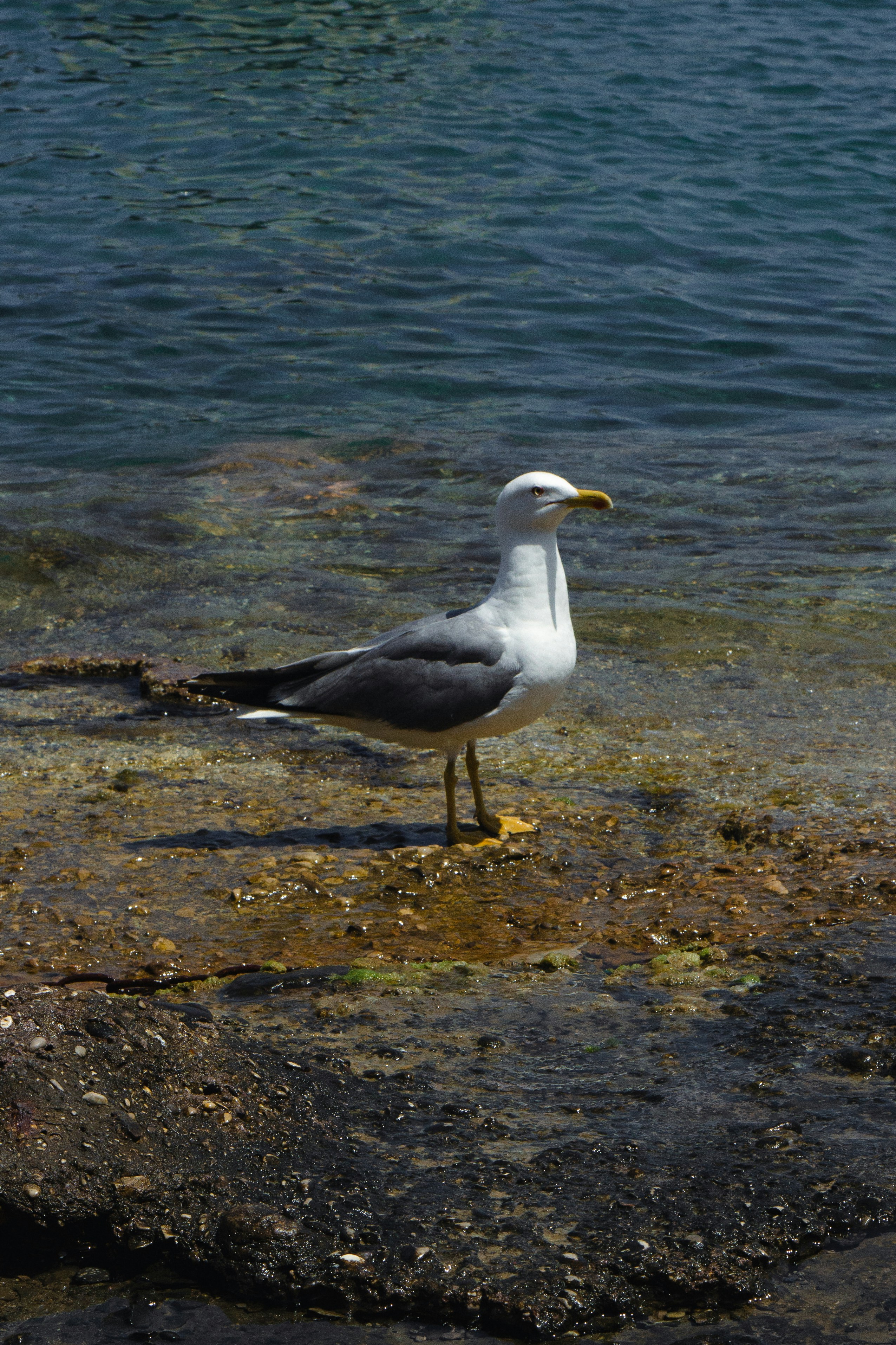 Photo by lau_acevedo