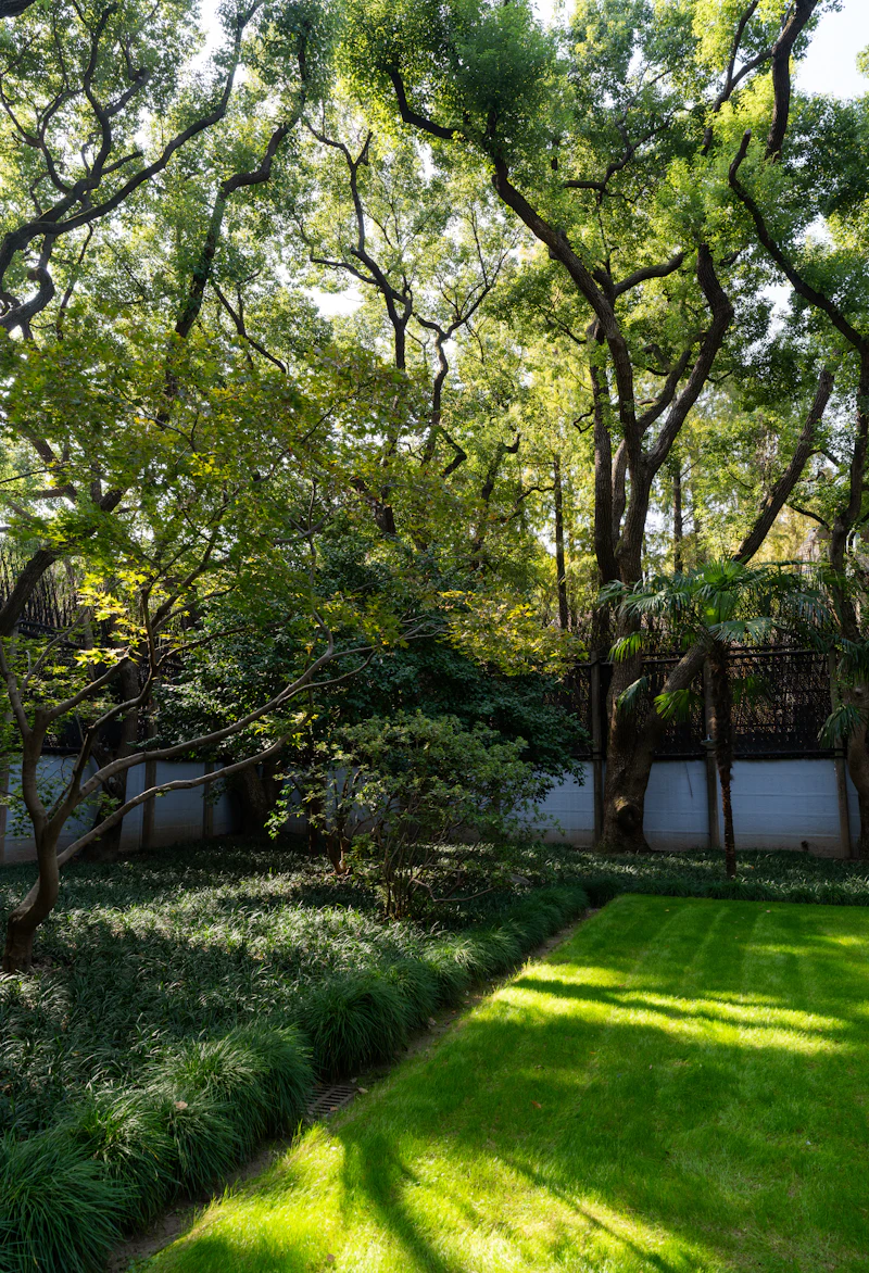 Lush green garden with mature trees and manicured lawn, representing a safe and pest-free outdoor space for families