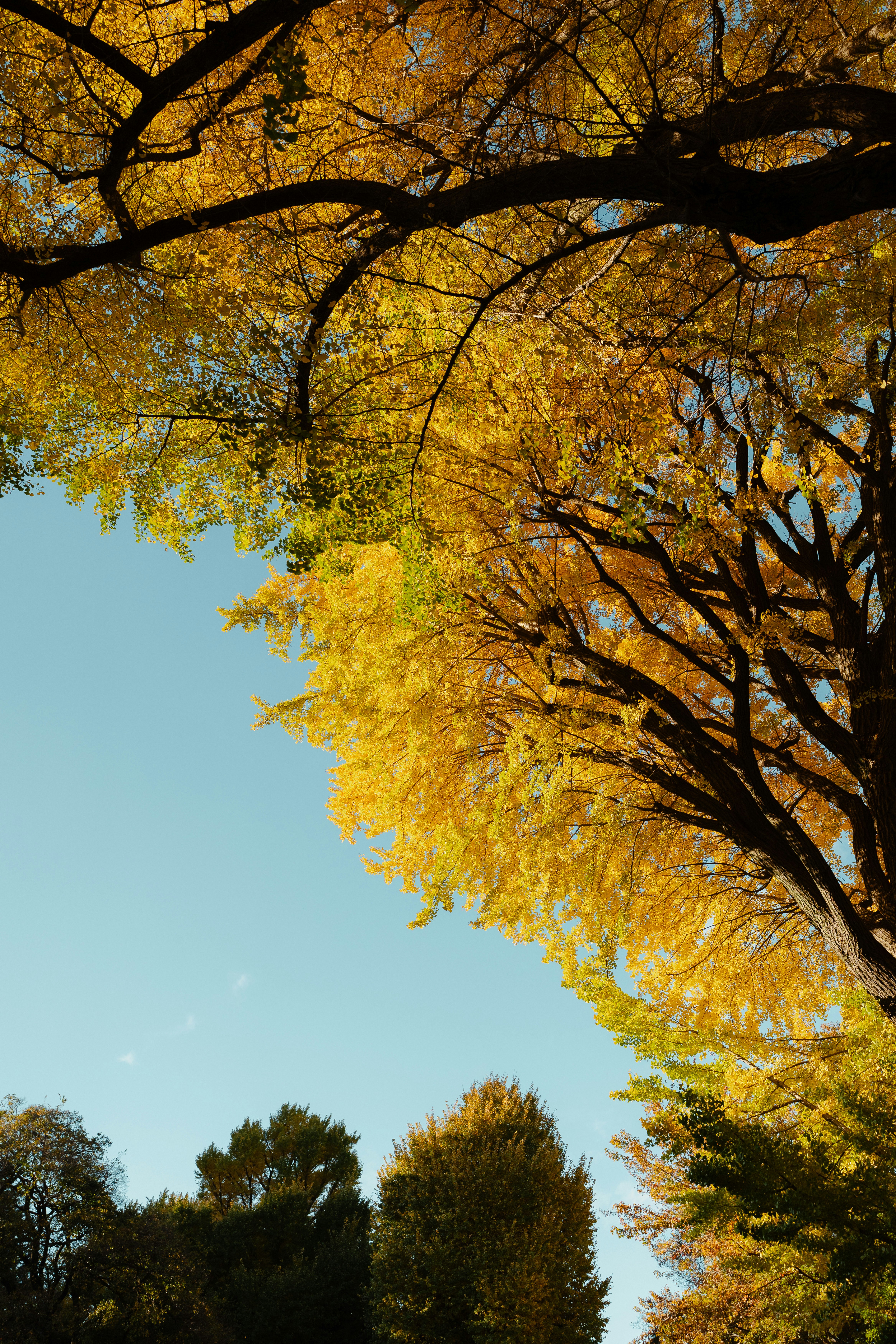 Photo by bookslope