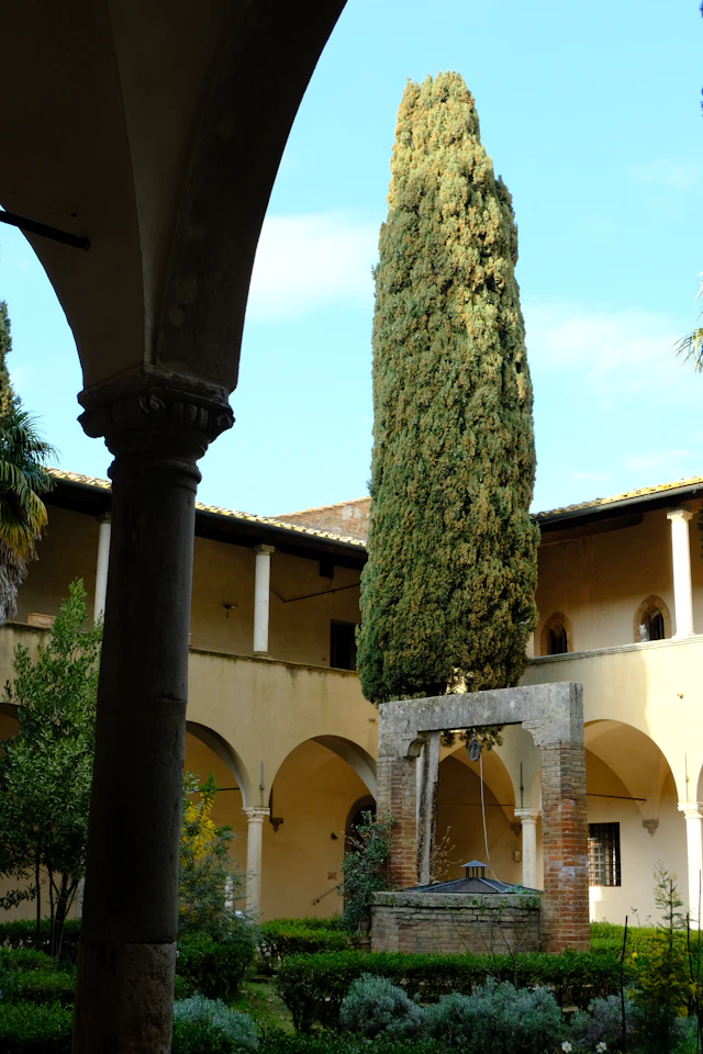 Chiostro ad archi con un cipresso nel cortile