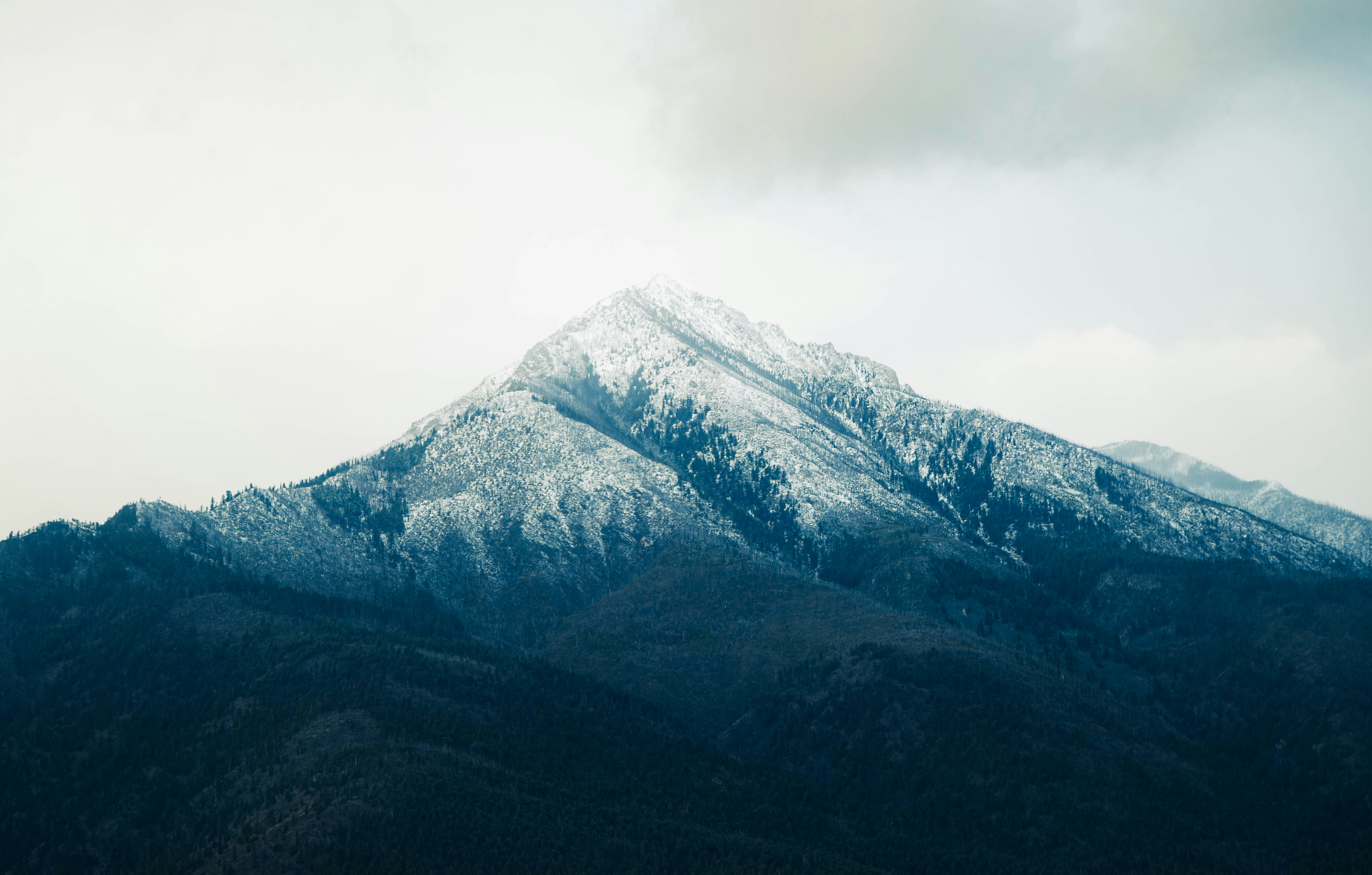 Photo by carbonmonoxide