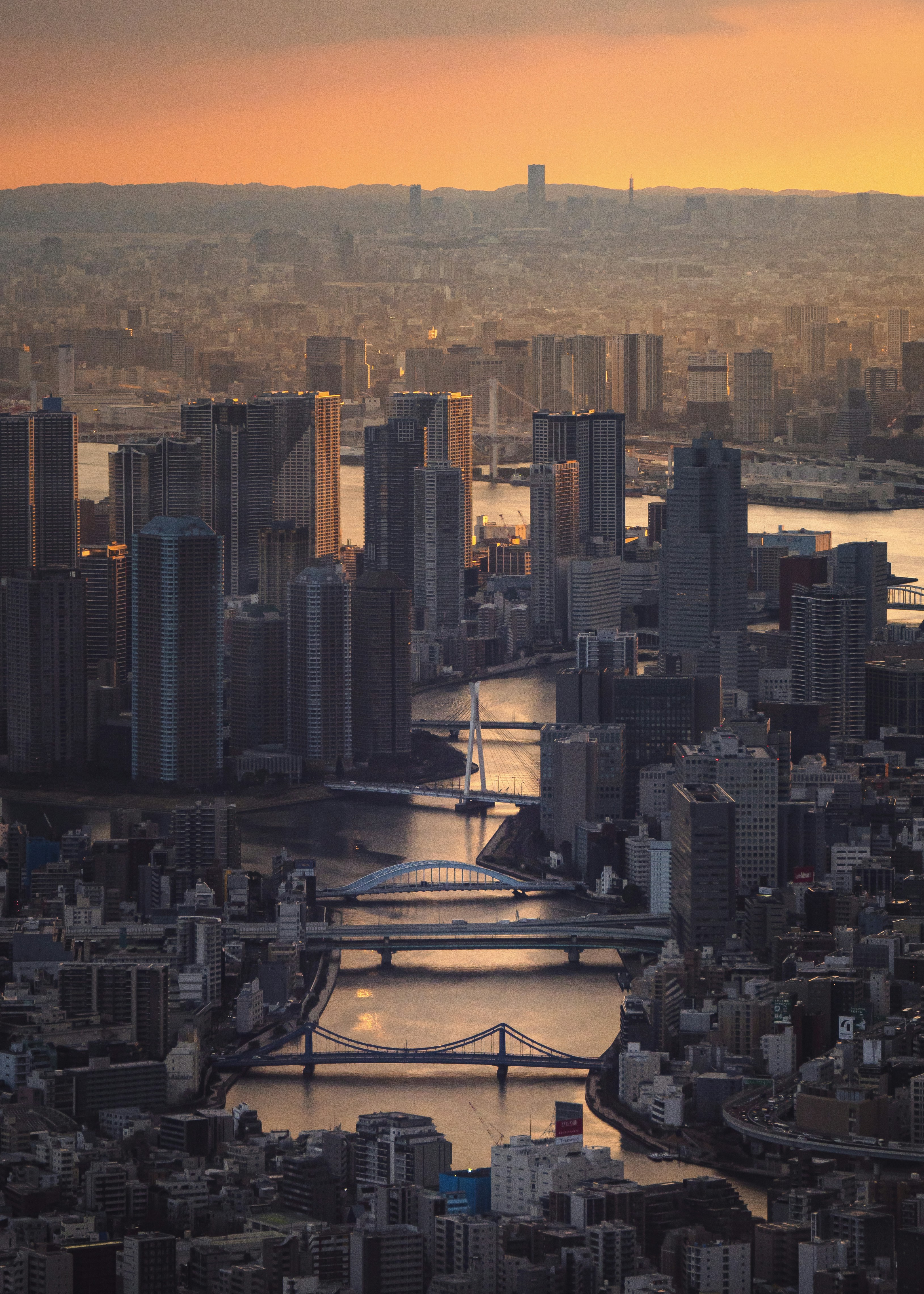 Cityscape with river and bridges at sunset