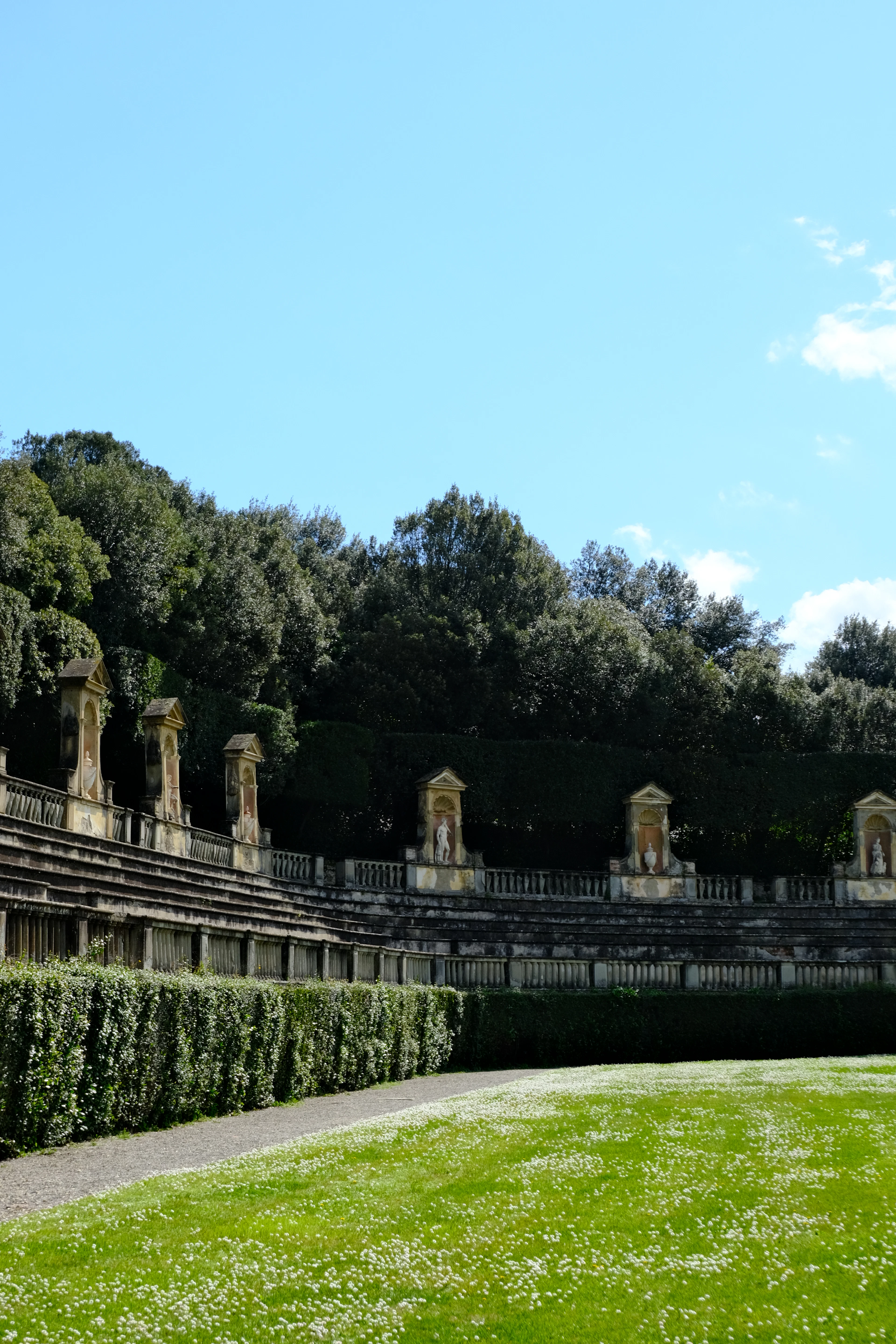 The curved stone tiers of the amphitheatre in Florence's Boboli Gardens, statues set in niches along the balustrade above clipped hedges, with a lawn full of white daisies in the foreground under a clear blue sky