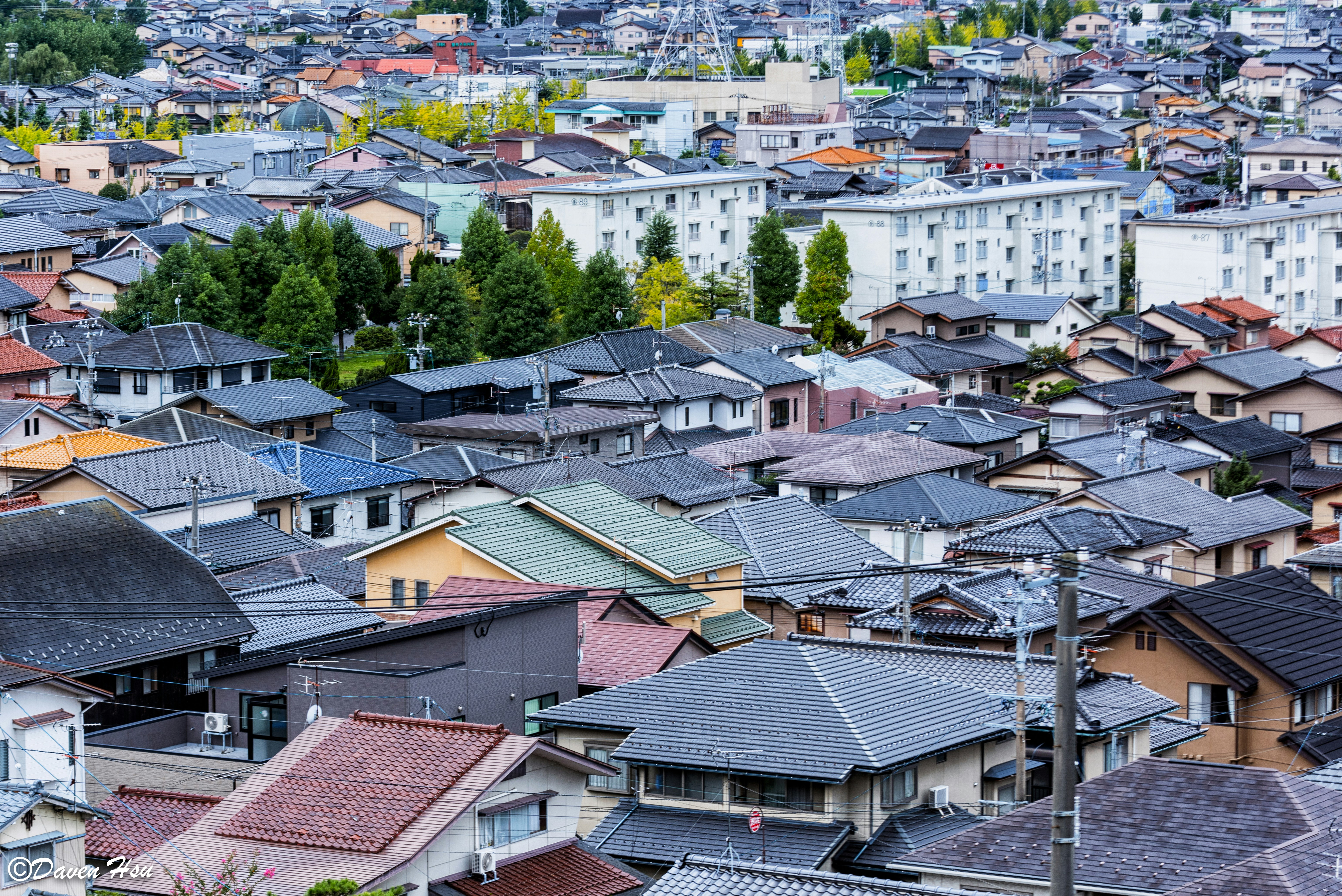 Dense residential neighborhood with many rooftops.